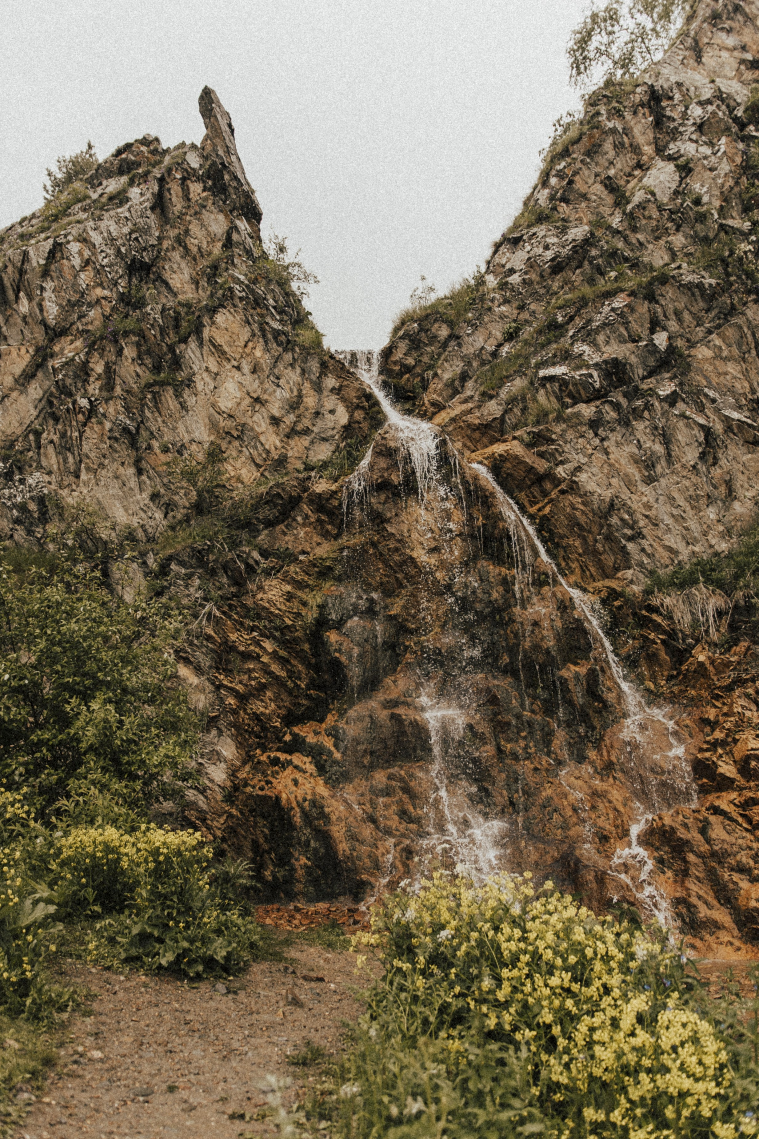ЛЮТИКОВОЕ ЦАРСТВО. Фотограф Настя Конник | Пятигорск | Эльбрус | Домбай | Архыз | Видеограф КМВ