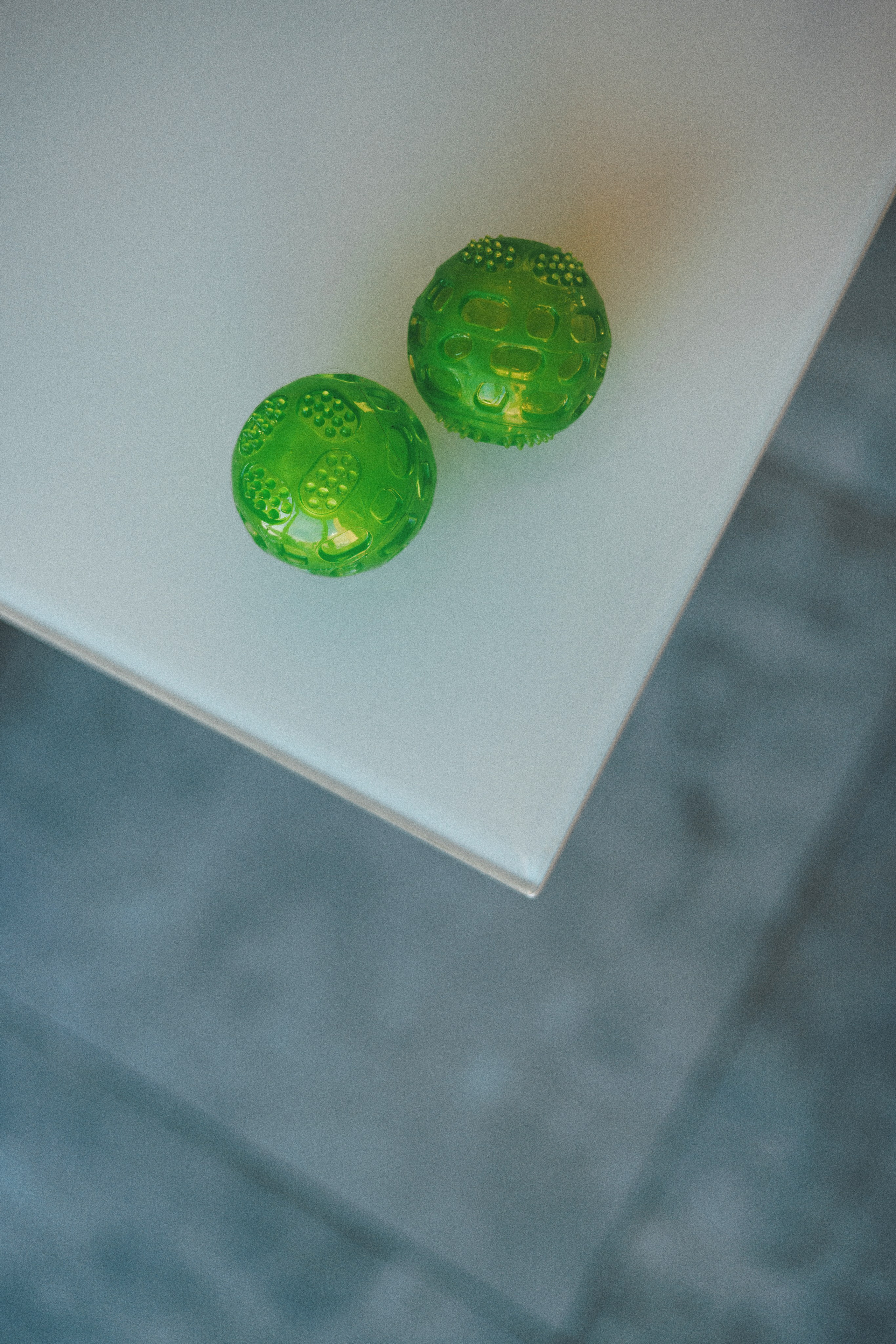 M-Pets. Фотограф анималист Осипчикова Мария