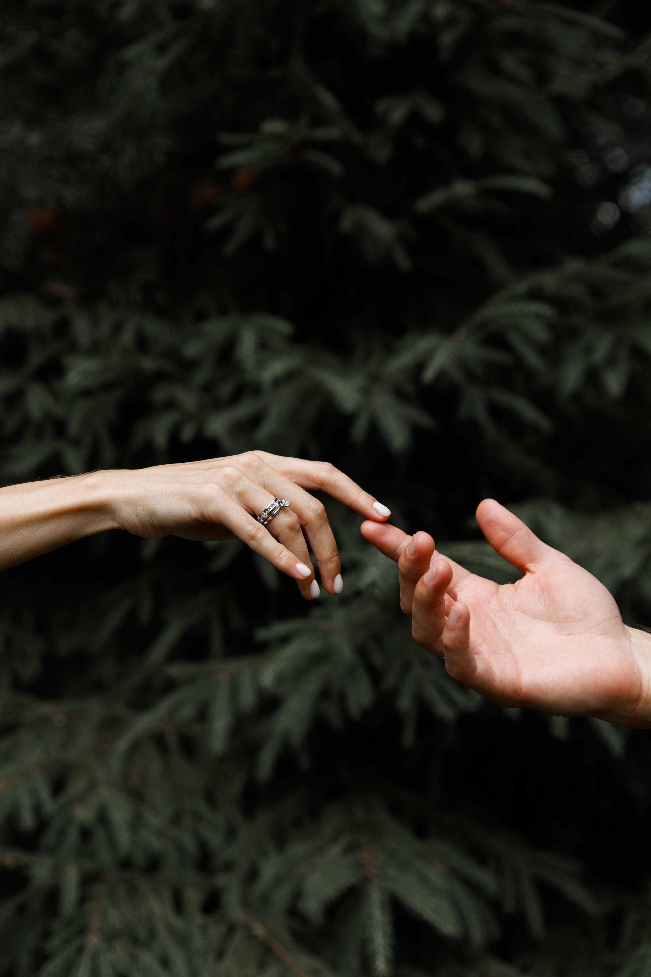 Weddings. Photographer Sasha Orlov