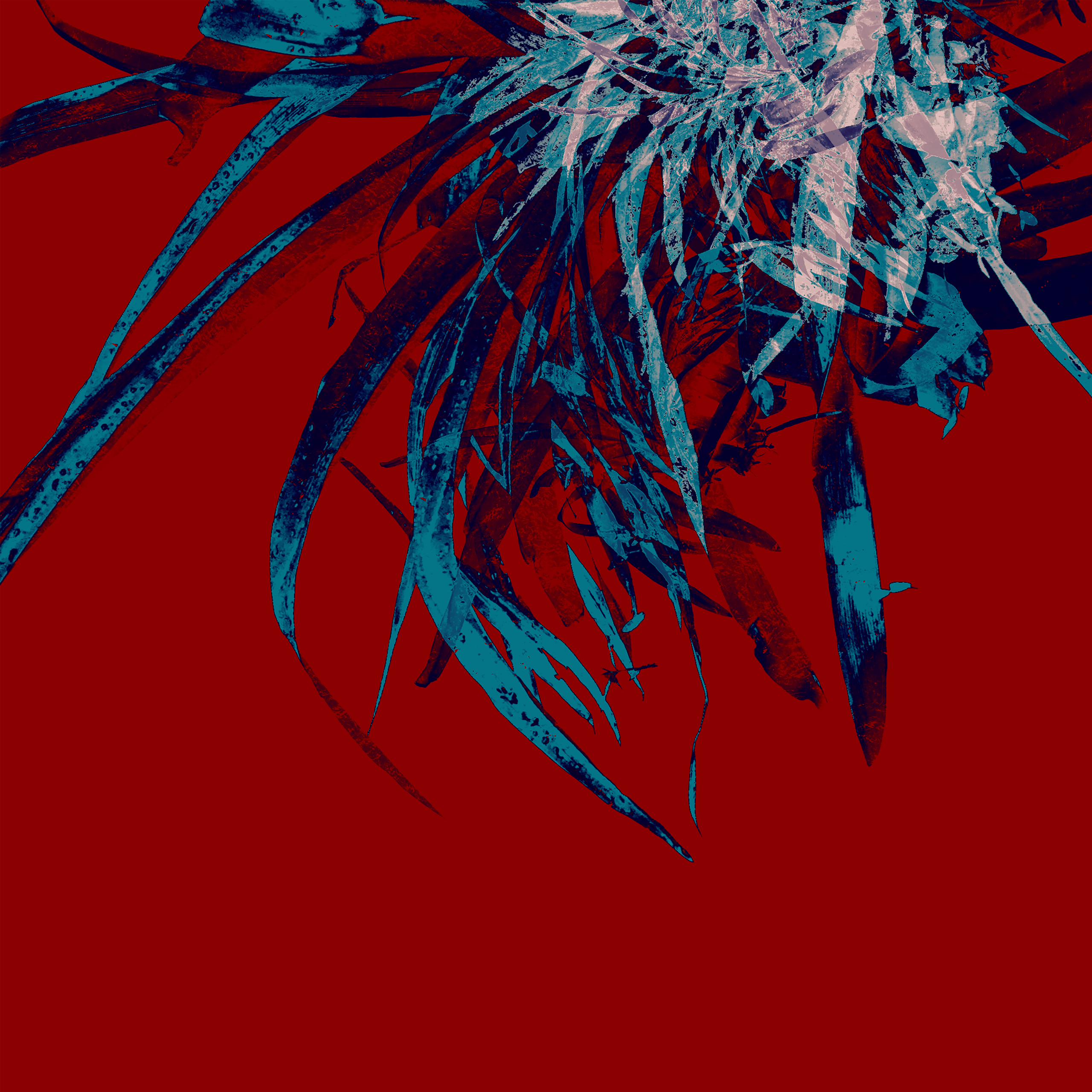 Art. Фотограф/дизайнер в Екатеринбурге Хитрый Дмитрий