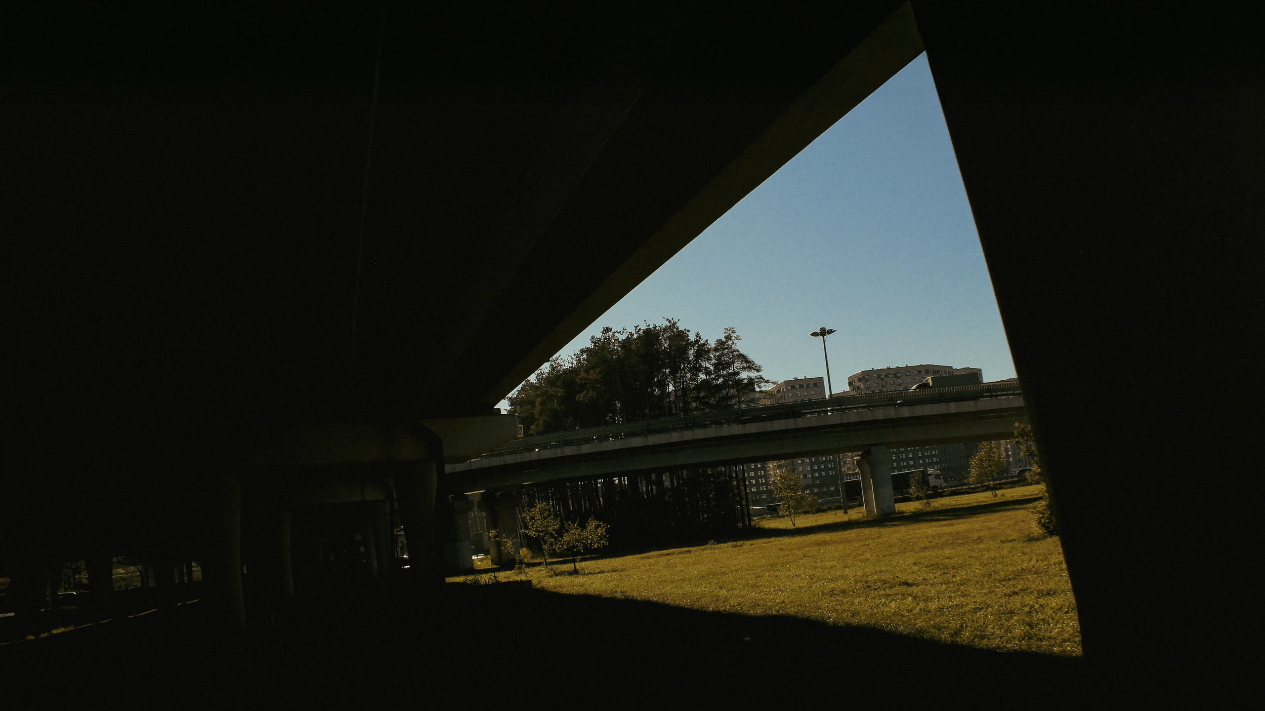 TMN summer '24. Фотограф/дизайнер в Екатеринбурге Хитрый Дмитрий