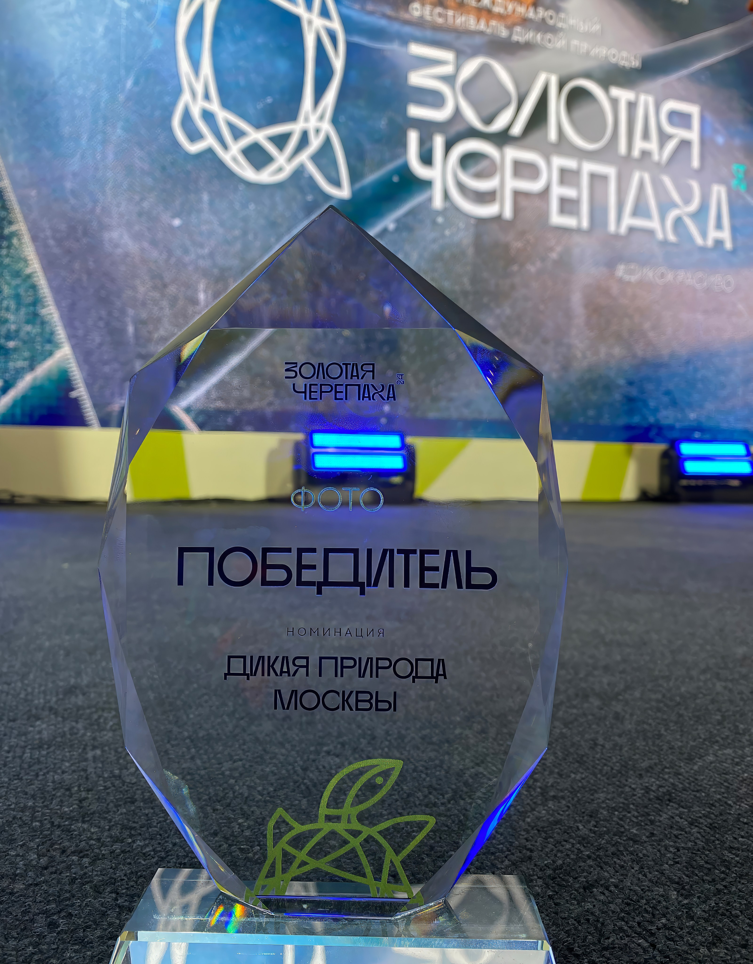 Достижения. Константин Дем | Фотограф