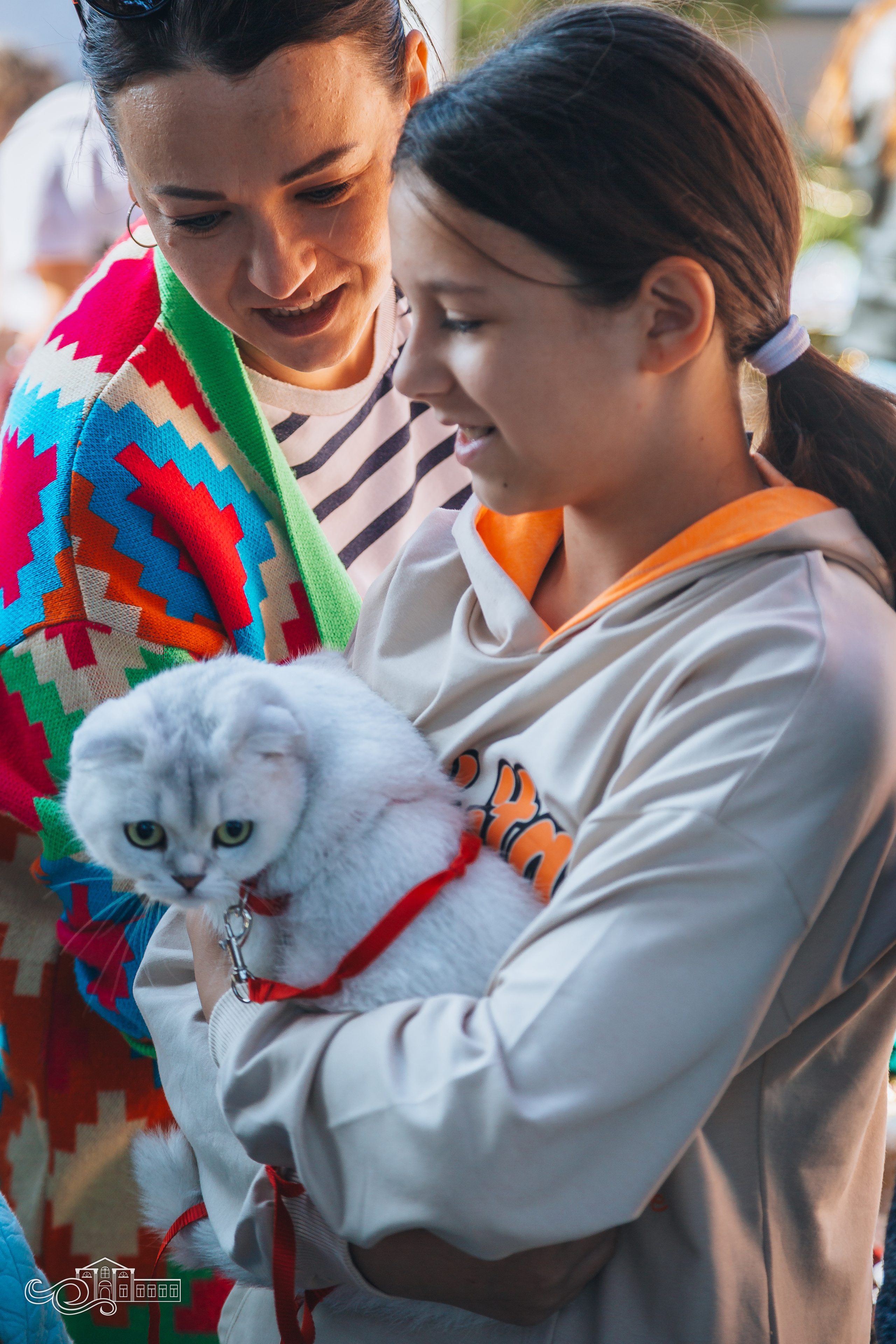 День станицы / Новотитаровская / 2023. Новотитаровский Дом культуры