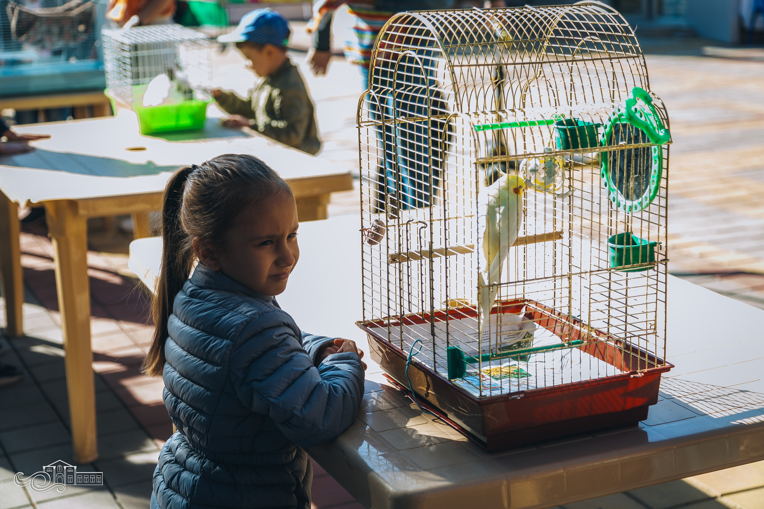 День станицы / Новотитаровская / 2023. Новотитаровский Дом культуры