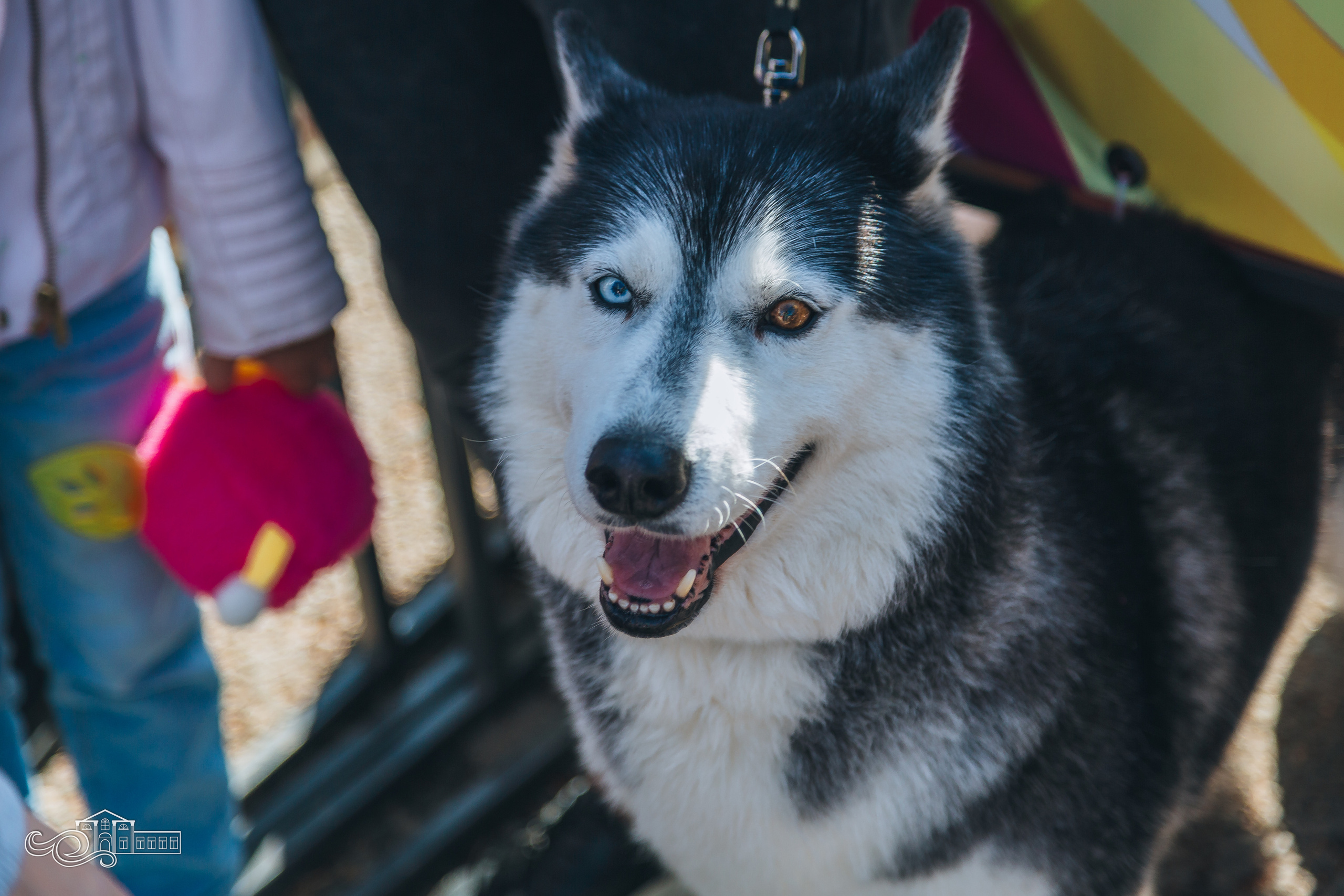 День станицы / Новотитаровская / 2023. Новотитаровский Дом культуры