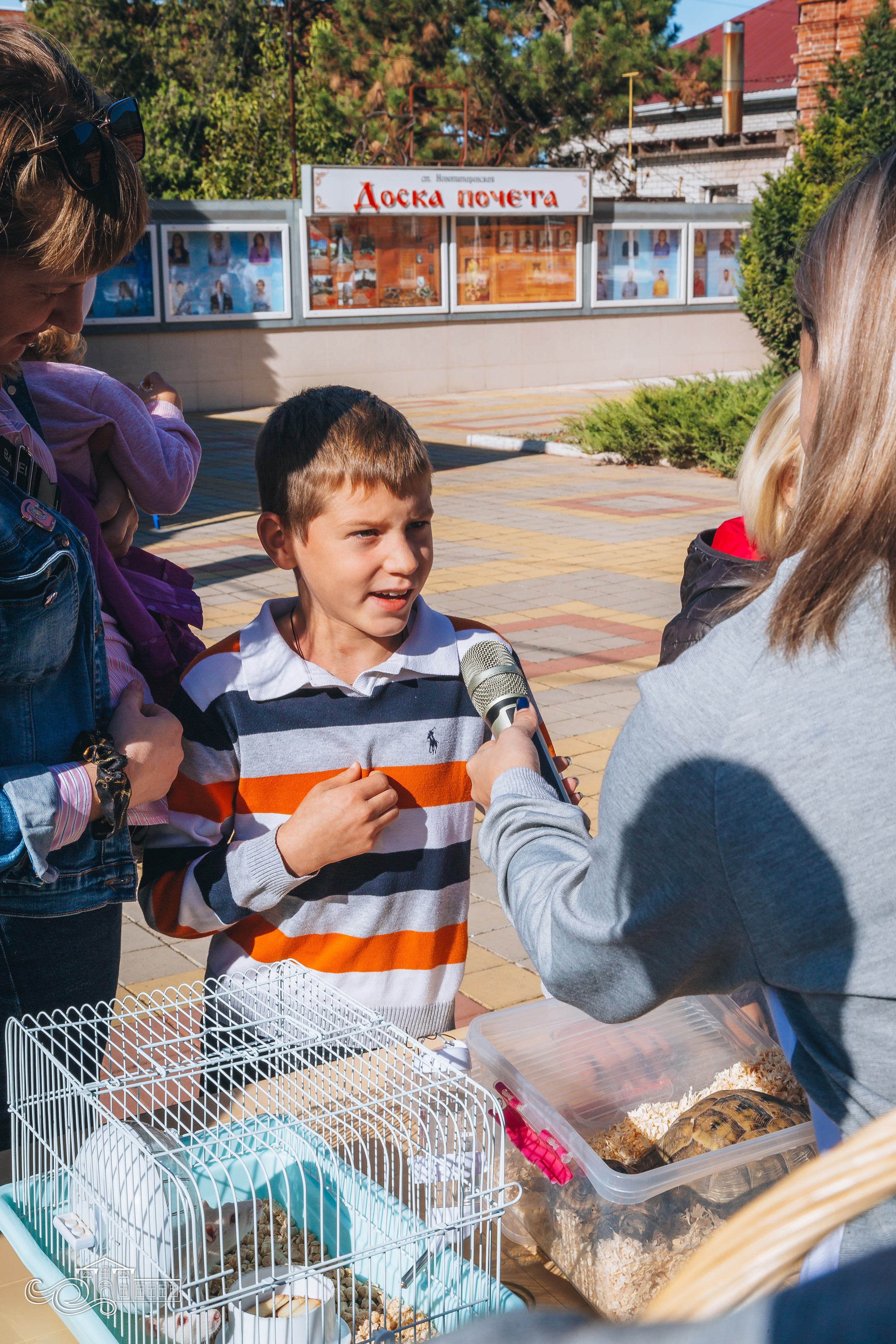 День станицы / Новотитаровская / 2023. Новотитаровский Дом культуры