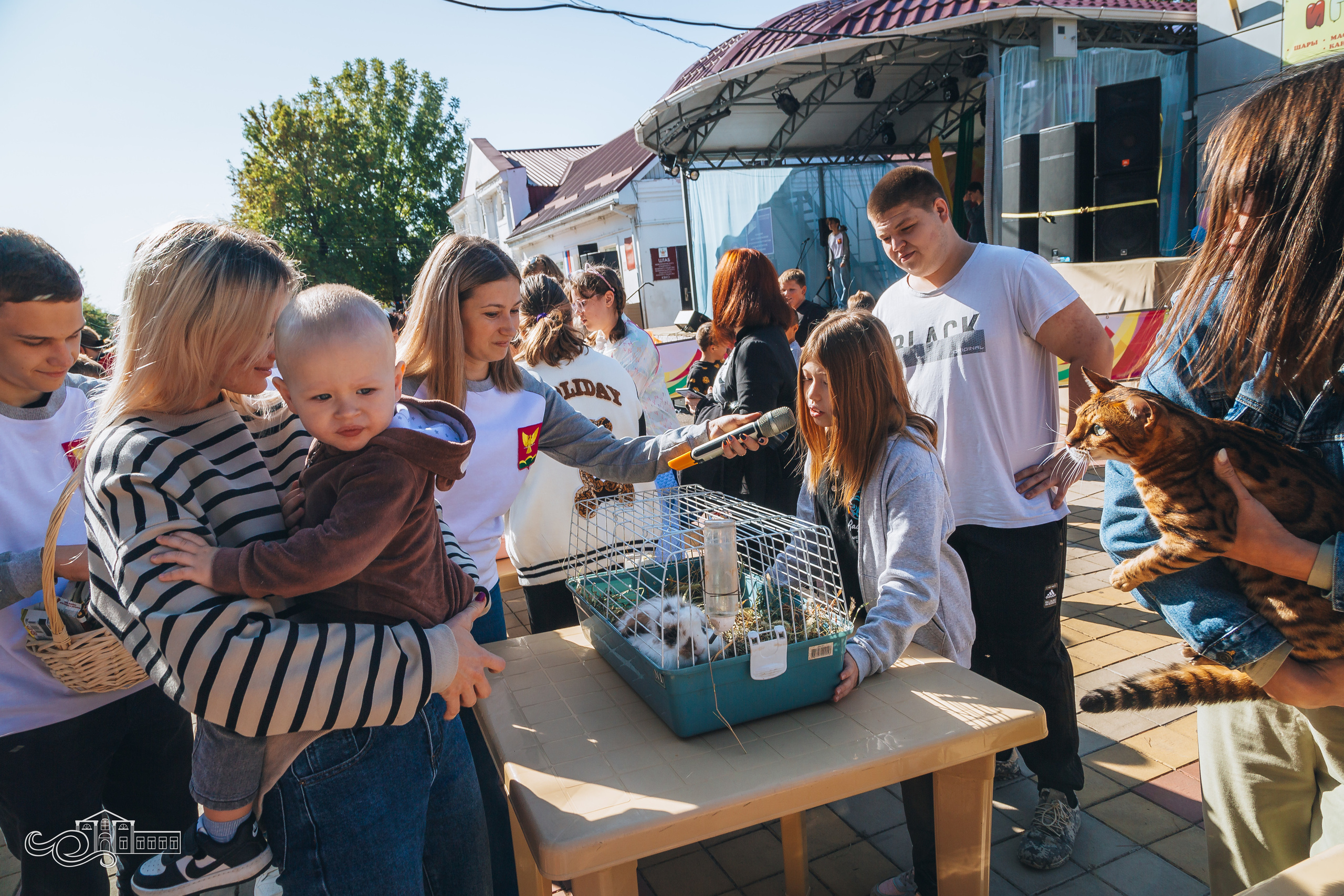 День станицы / Новотитаровская / 2023. Новотитаровский Дом культуры