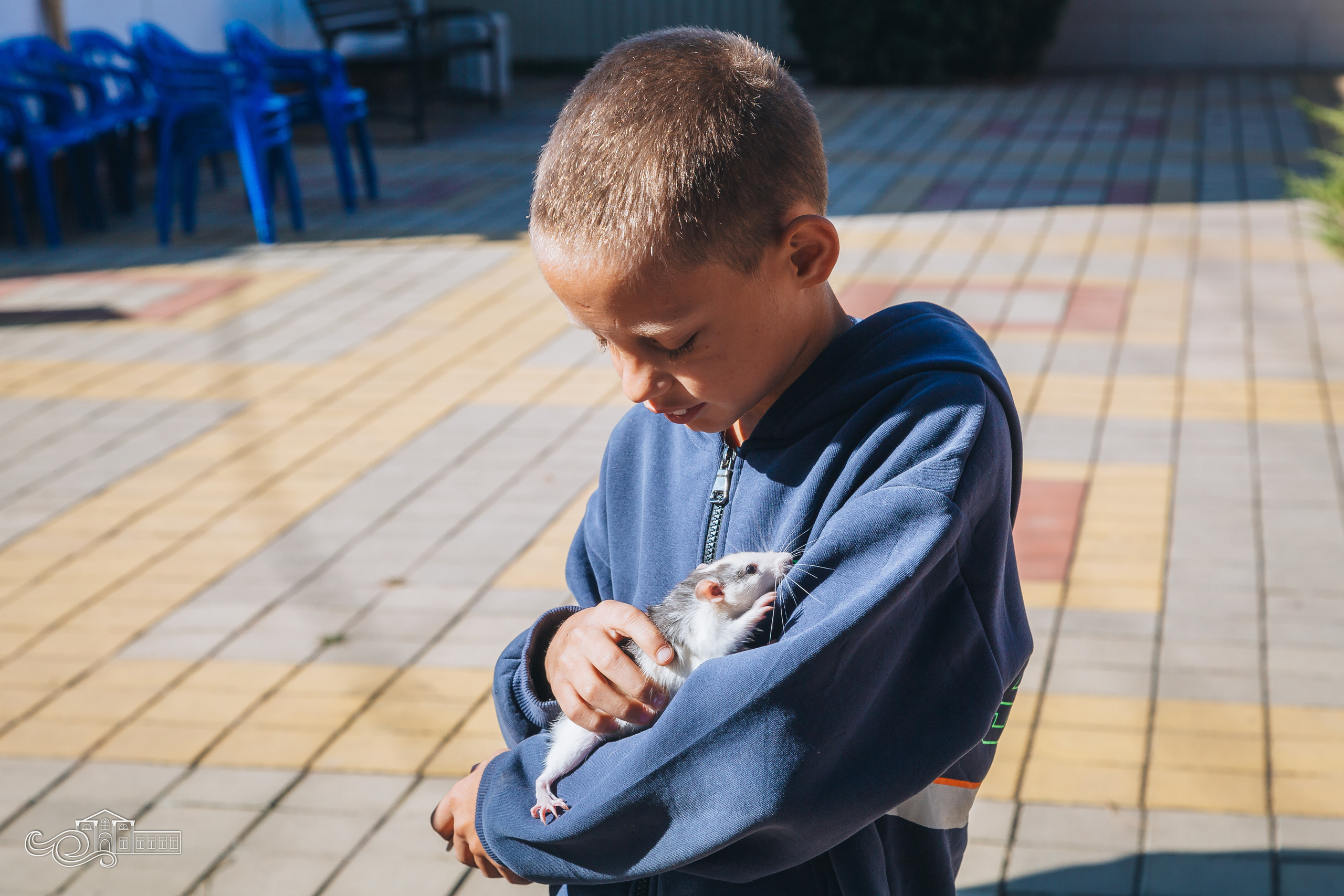 День станицы / Новотитаровская / 2023. Новотитаровский Дом культуры