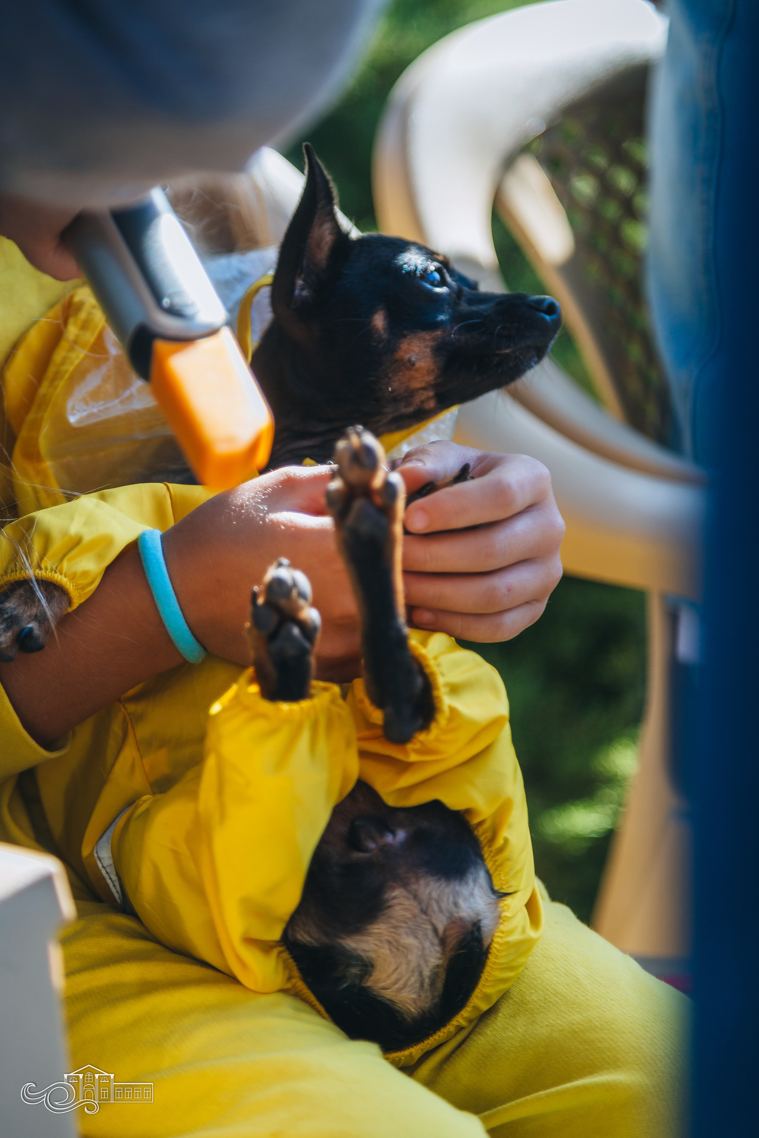 День станицы / Новотитаровская / 2023. Новотитаровский Дом культуры