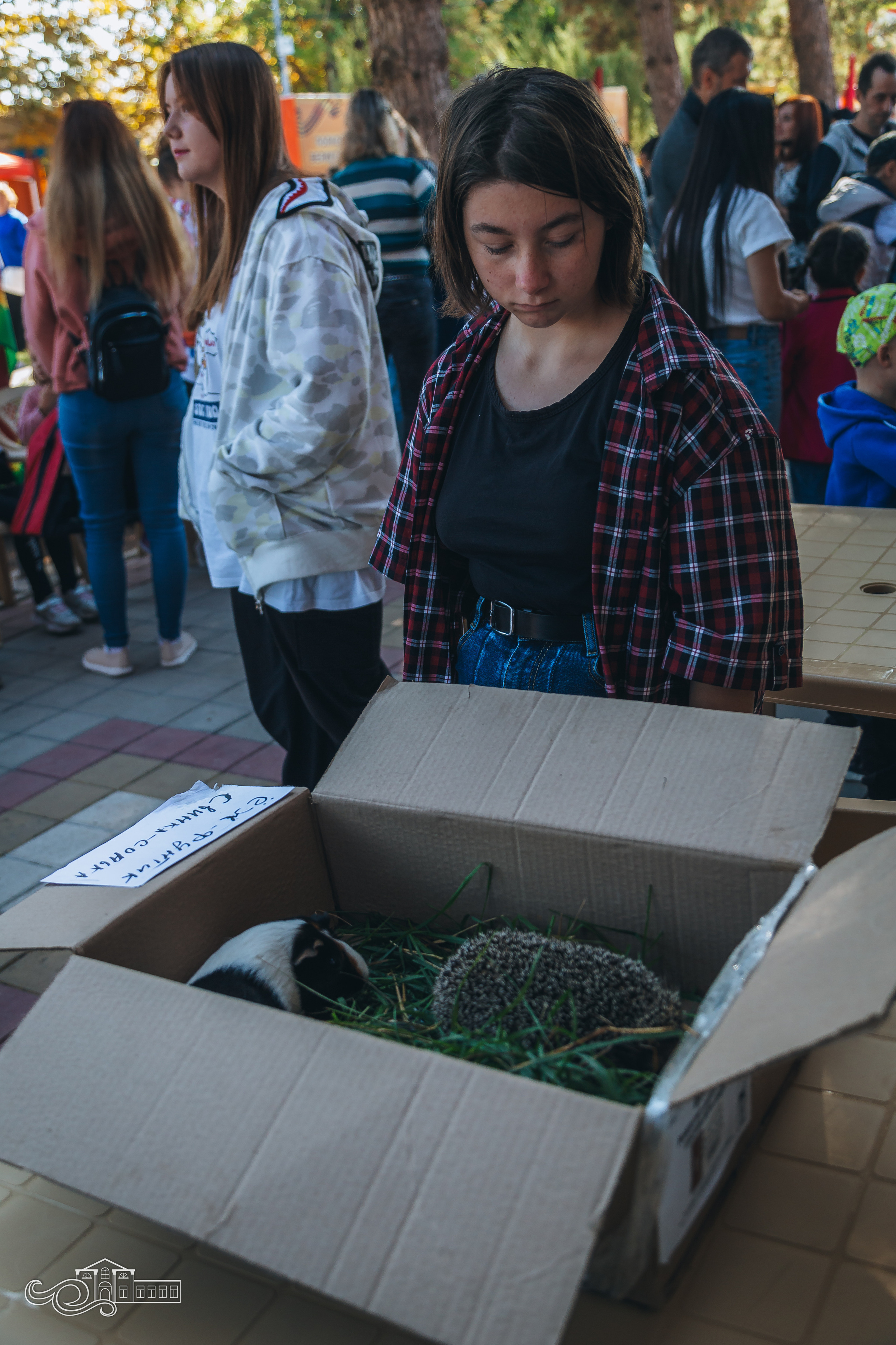 День станицы / Новотитаровская / 2023. Новотитаровский Дом культуры