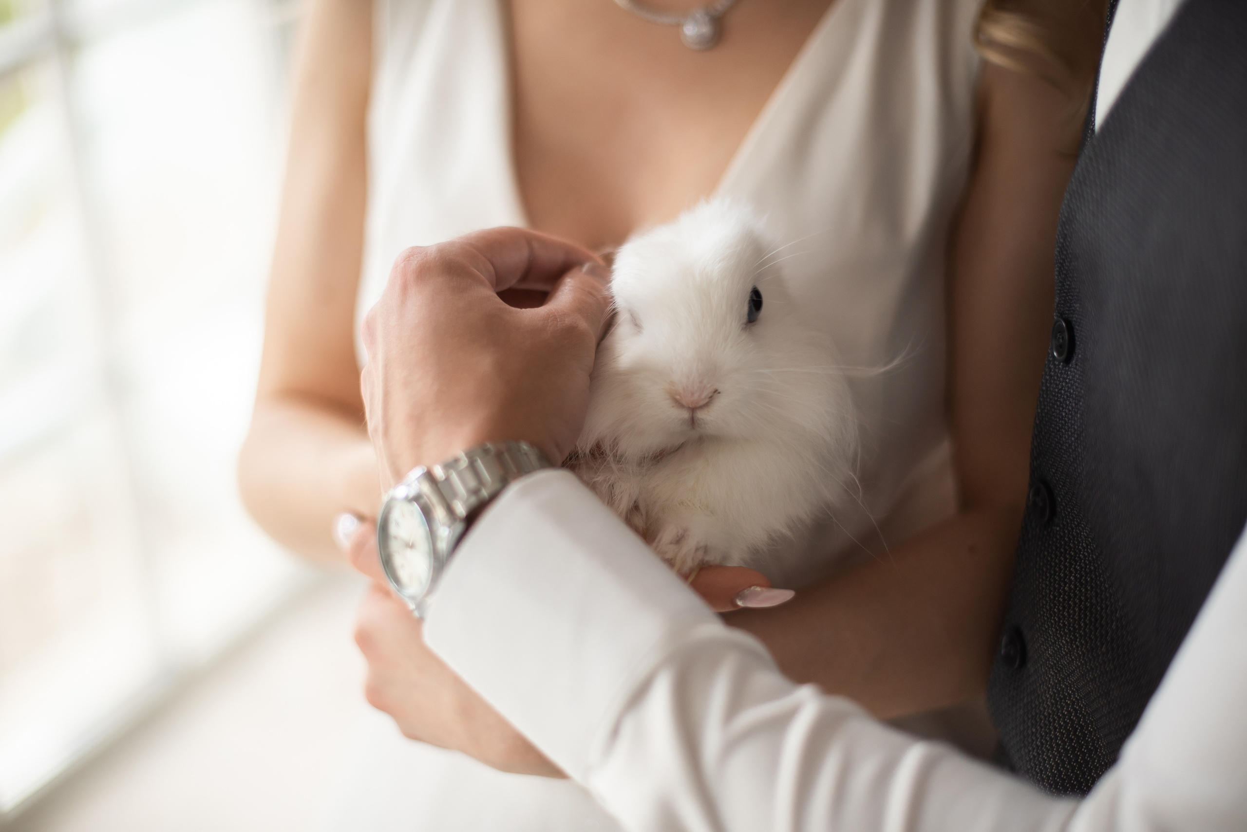 Катя и Валера. Свадебный и семейный фотограф Ольга Астрейко