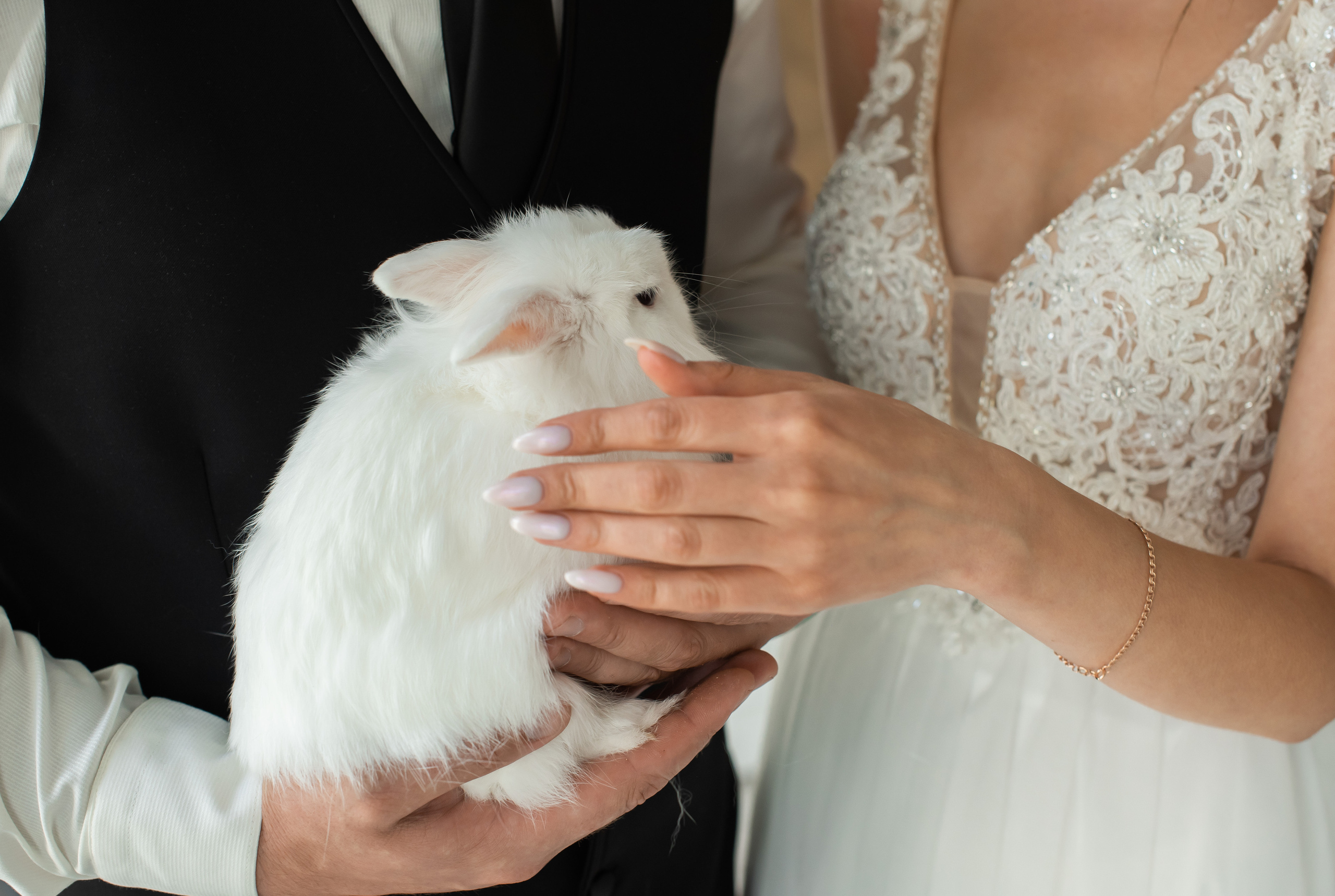 Настя и Саша. Свадебный и семейный фотограф Ольга Астрейко