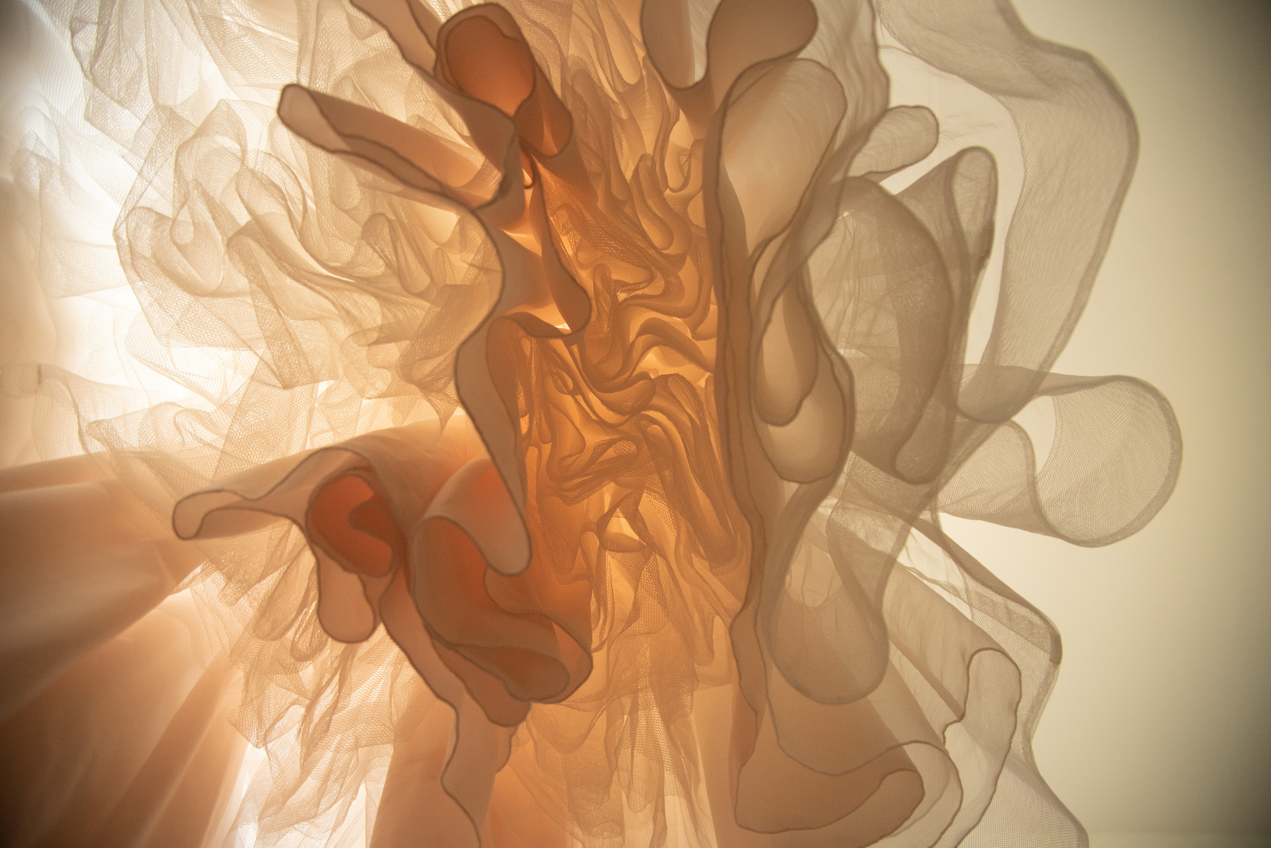 Таня и Вадим. Свадебный и семейный фотограф Ольга Астрейко