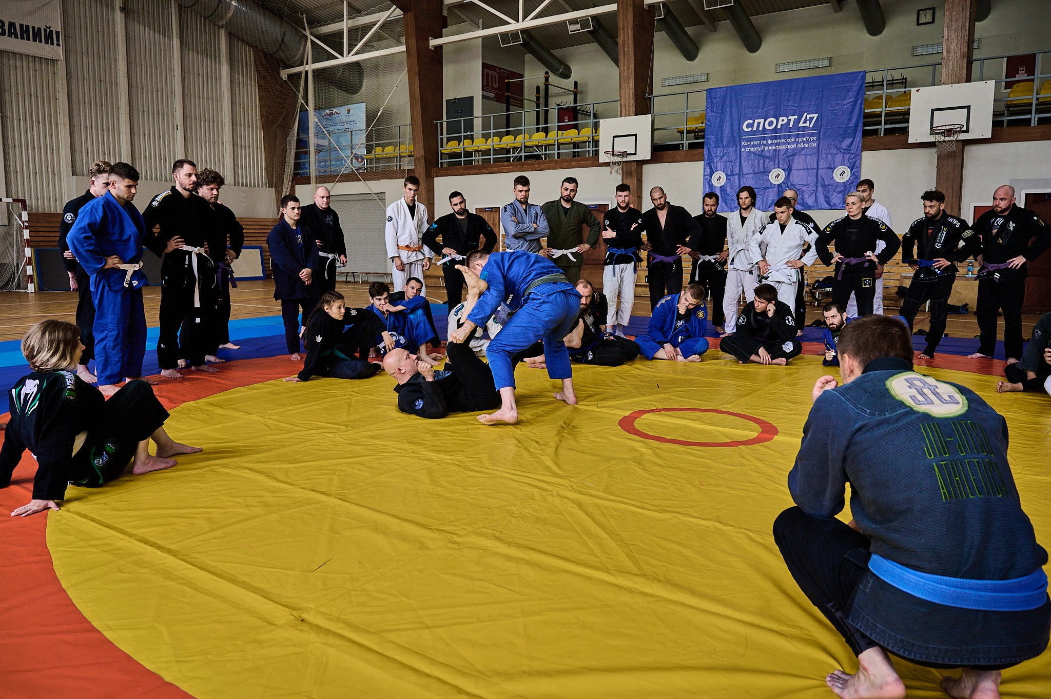 D.D. CAMP VBG Бразильское джиу-джитсу. Репортажный фотограф в Санкт-Петербурге Диана Ларченкова