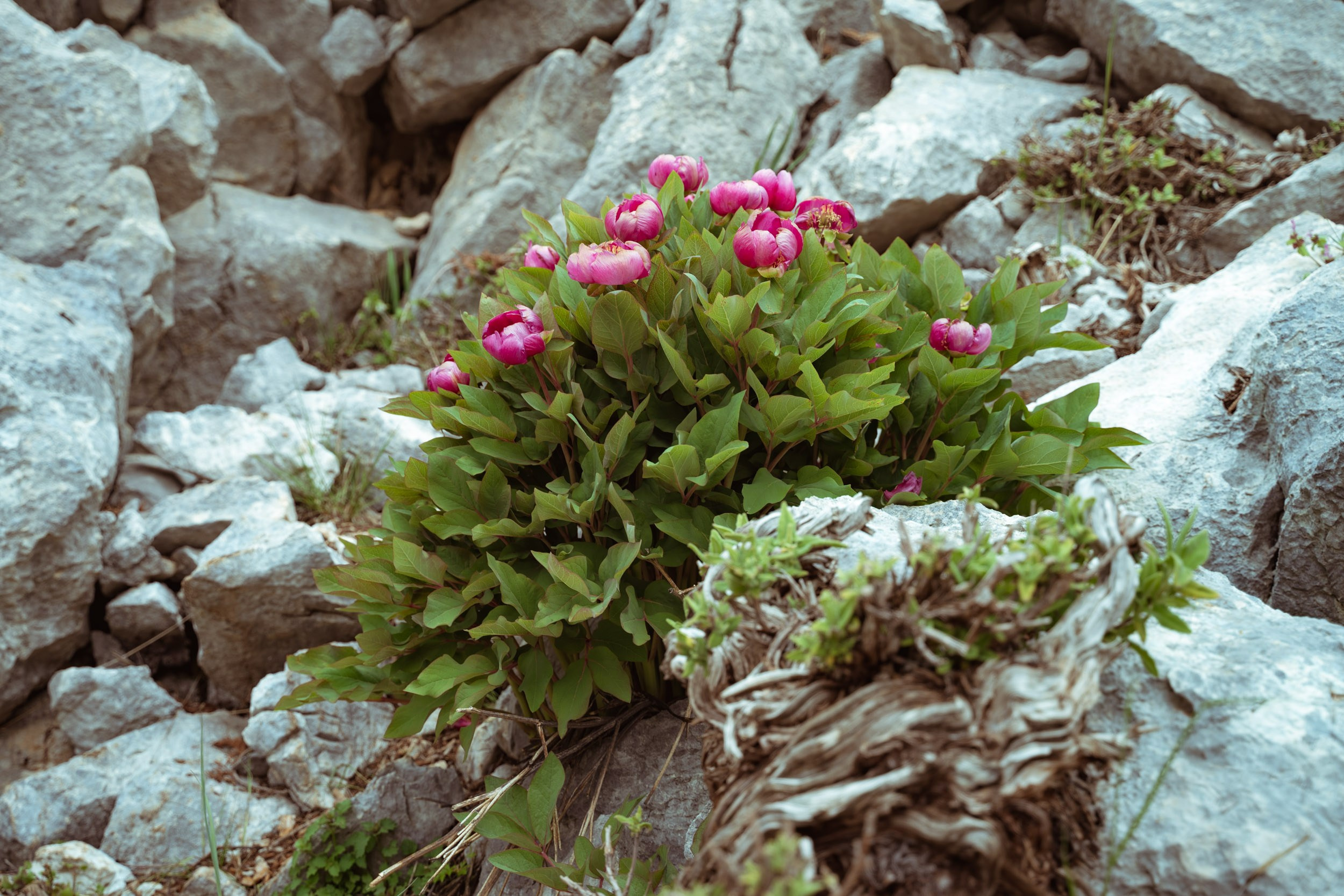 Турция. Восточная Ликийская тропа. Фотограф в поход и восхождение на Эльбрус Игорь Косарев