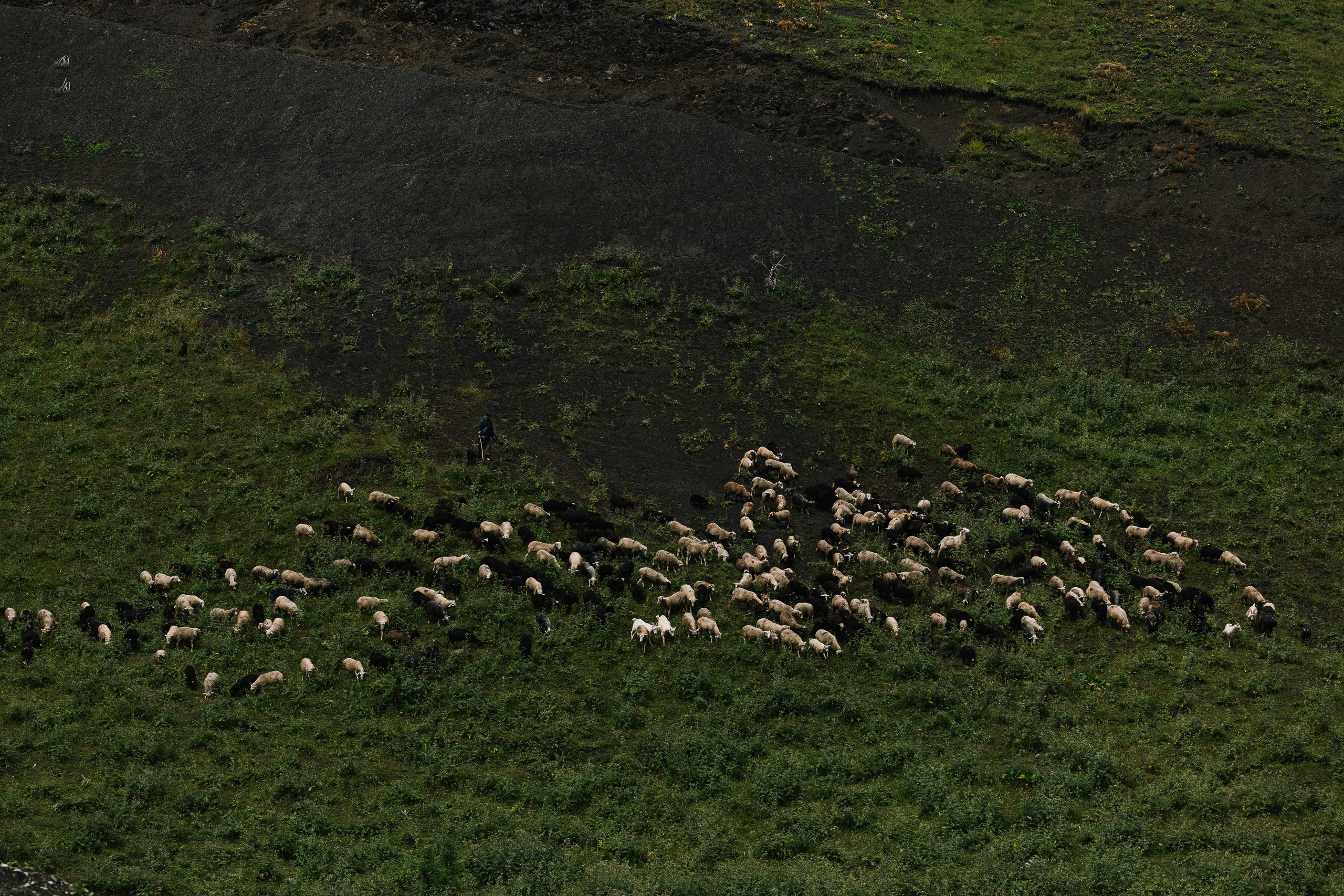 Мы — начало. Свадебный и репортажный фотограф Новороссийск, Краснодар, Сочи Олеся Дзюба