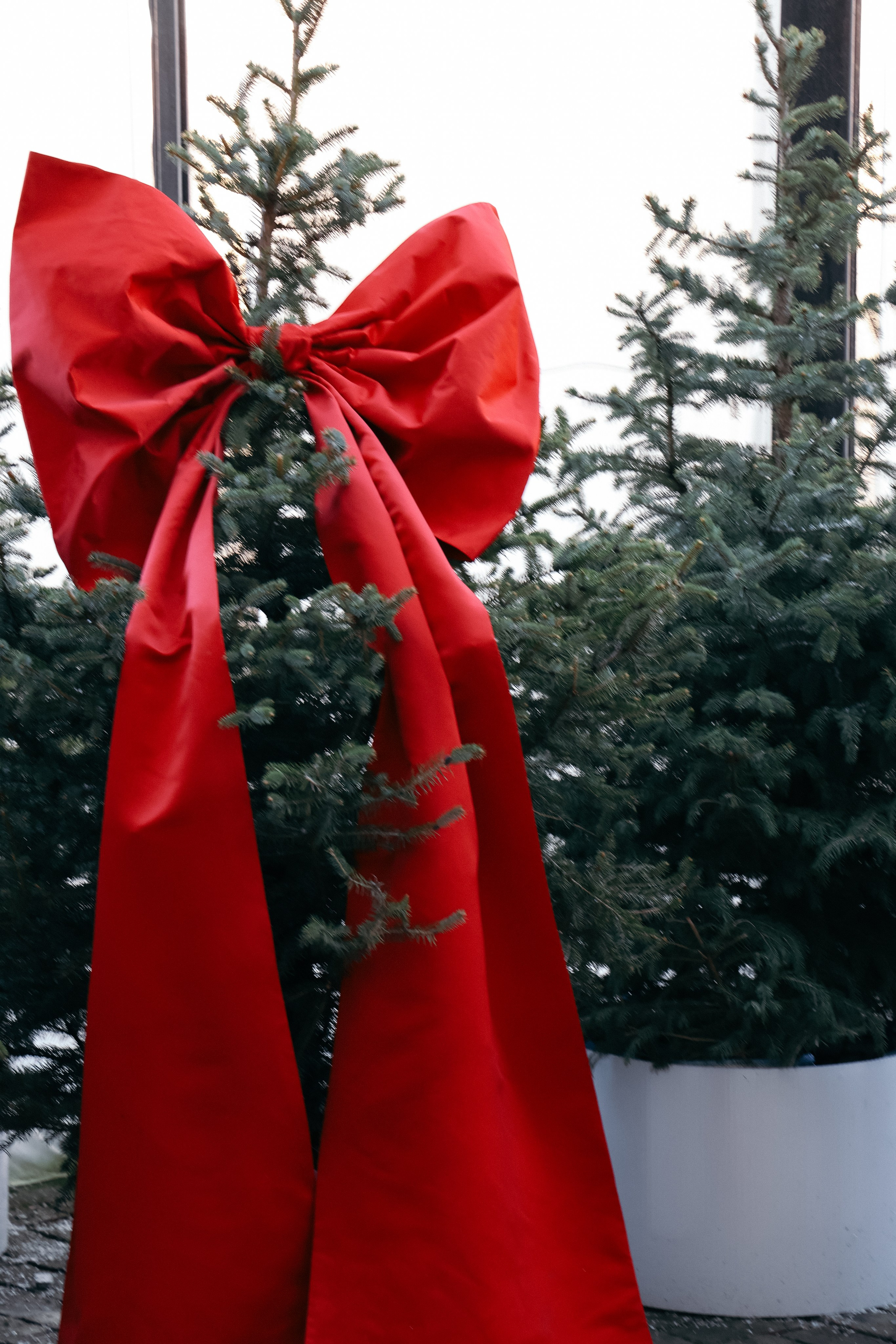 Family New Year. Свадебный и семейный фотограф в Краснодаре Диана Смирнова