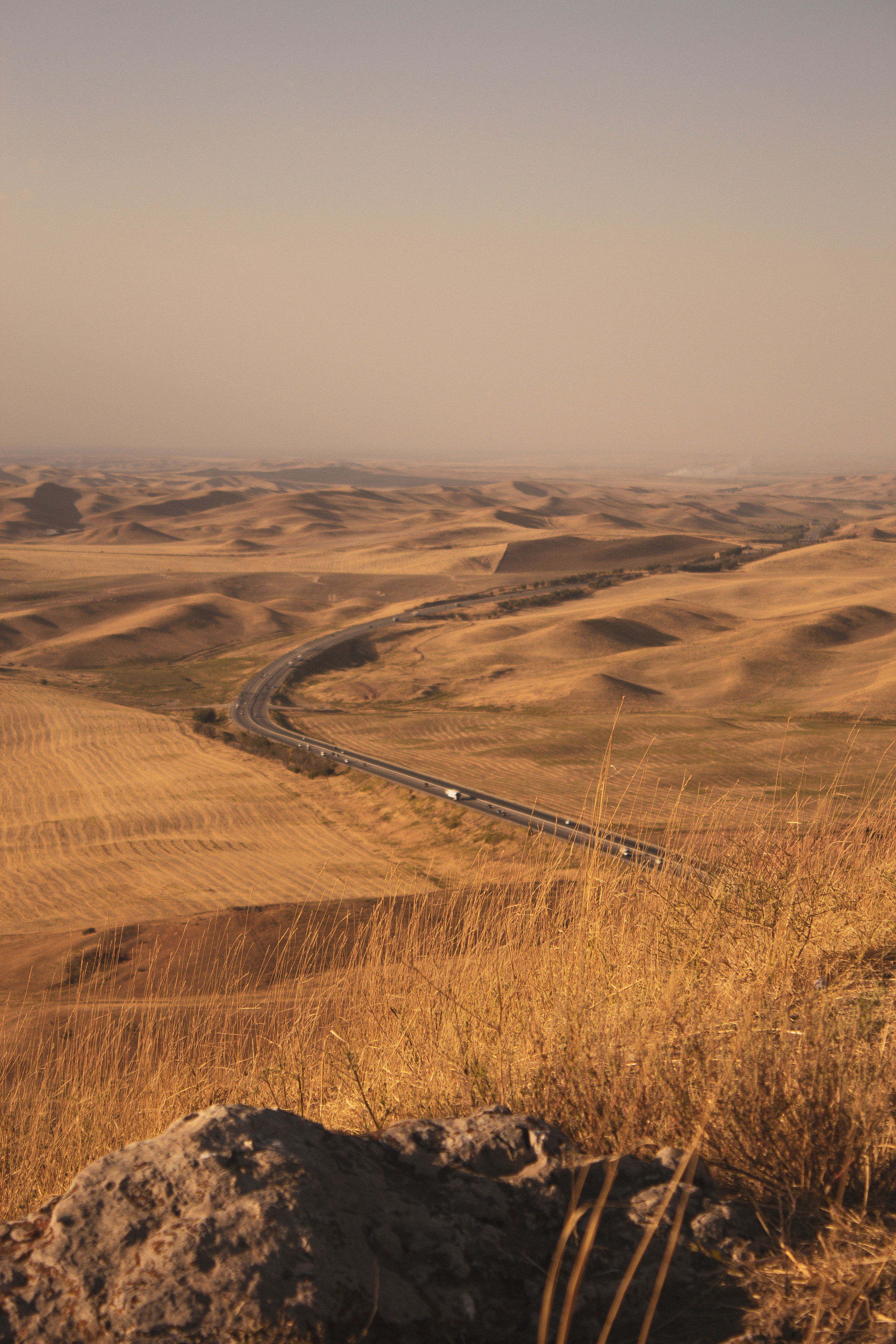 Злата. Фотограф в Шымкенте Наталья Черкасова