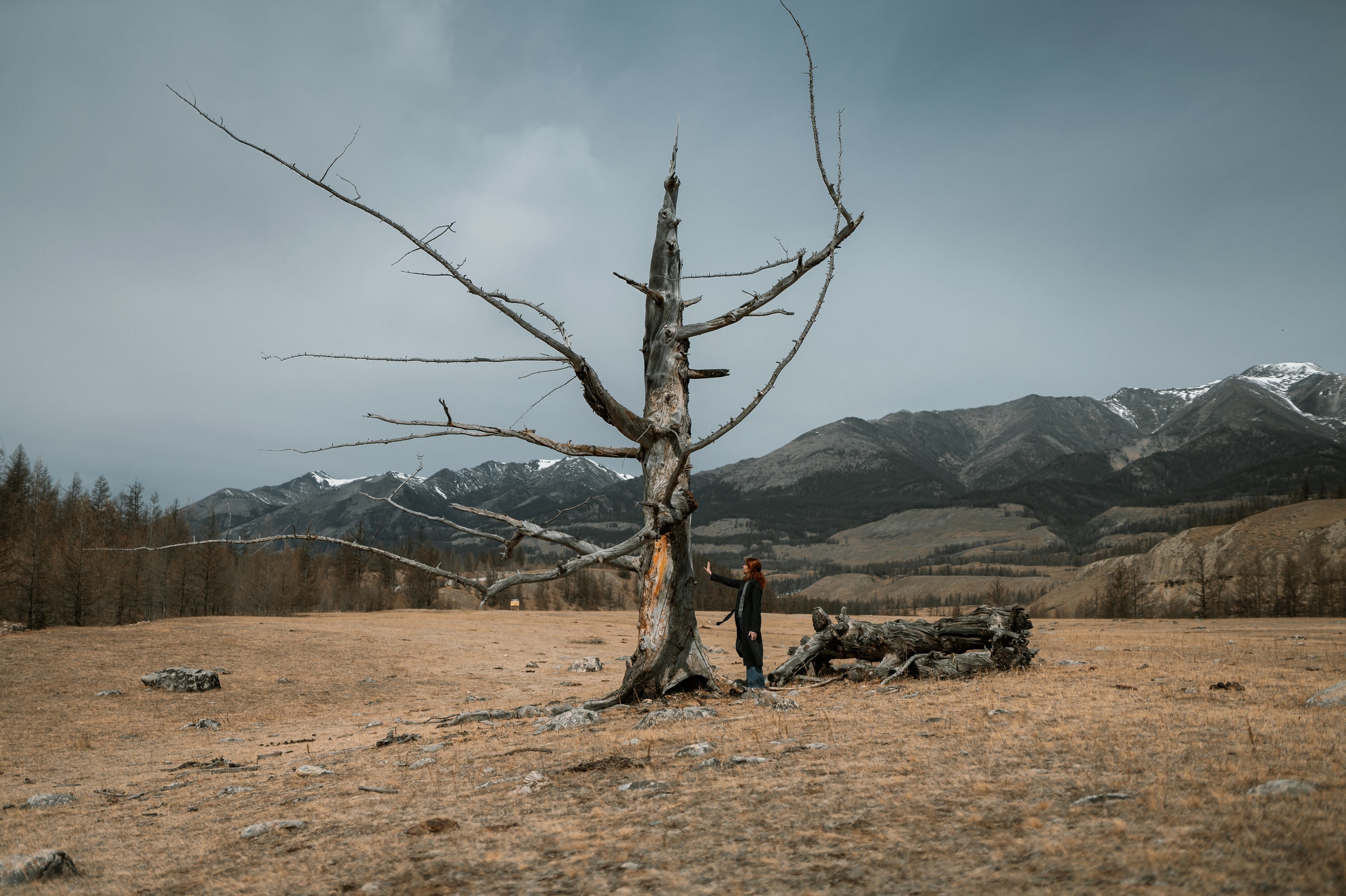 Лиза. Индивидуальное обучение фотографии