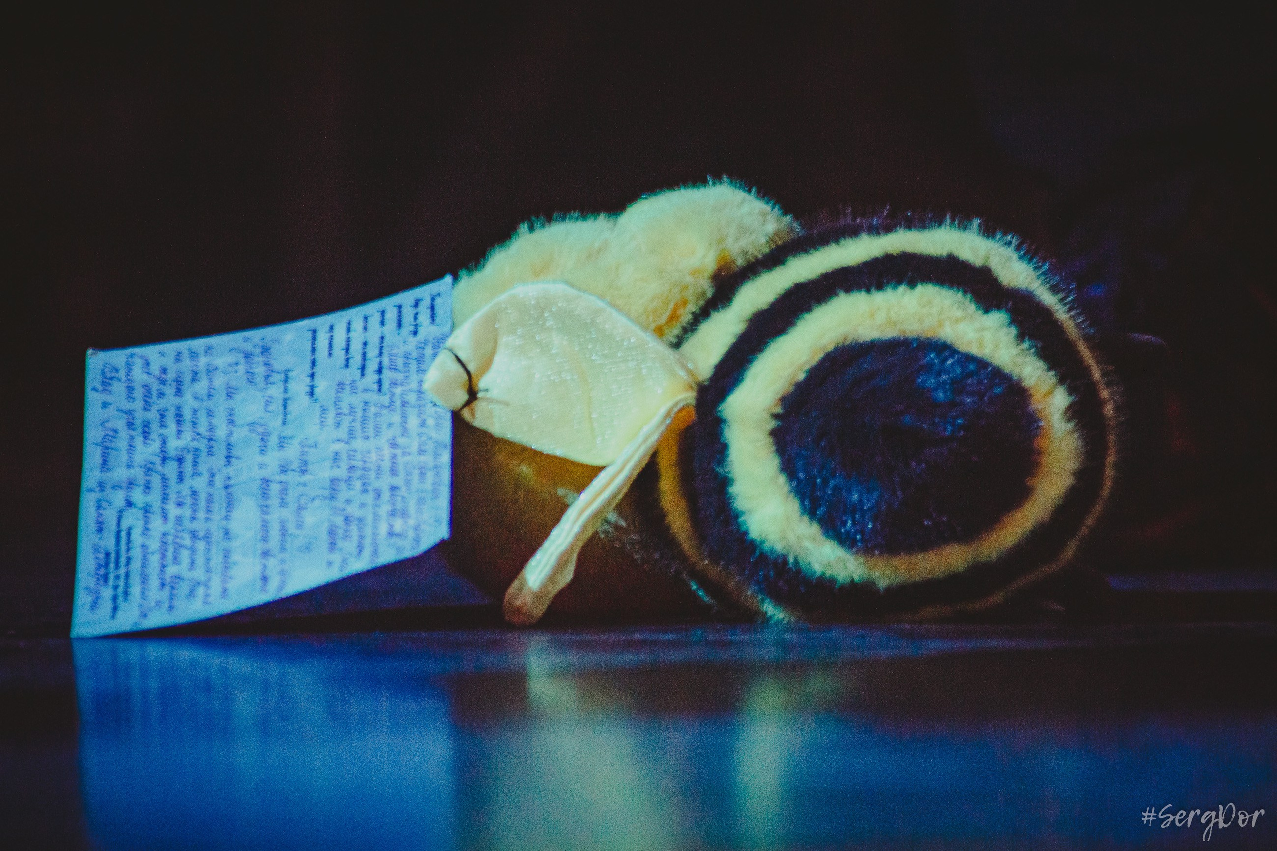 ДДТ, Стамбул, Турция, 29.11.2025, DDT, Юрий Шевчук, 29 ноября 2025 года, JJ Arena, SergDor, #SergDor