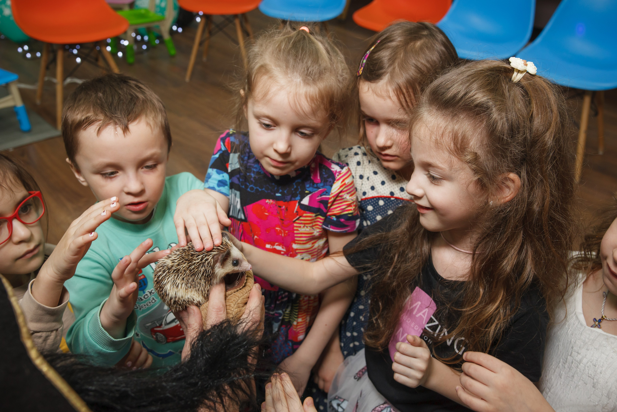 День рождения Егора, 6 лет, «Мультяшка». Свадебный и репортажный фотограф (Москва, Королев и другие)
