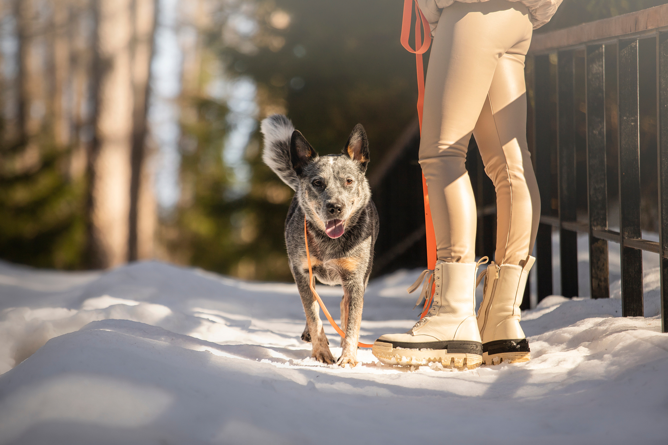Оля и Мотя. Фотограф — Анималист | Санкт-Петербург
