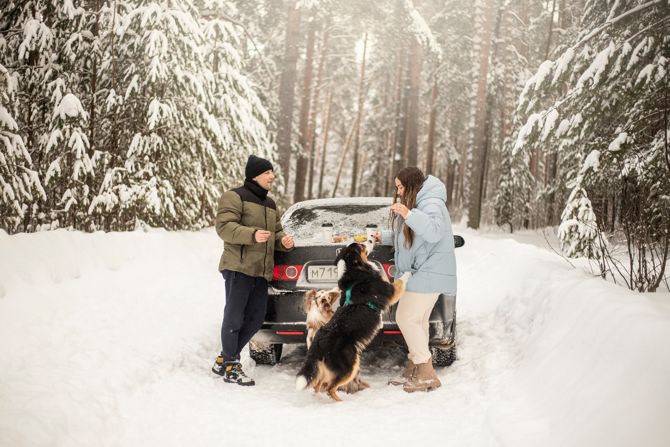 Делик, Скай и их семья. Фотограф — Анималист | Санкт-Петербург