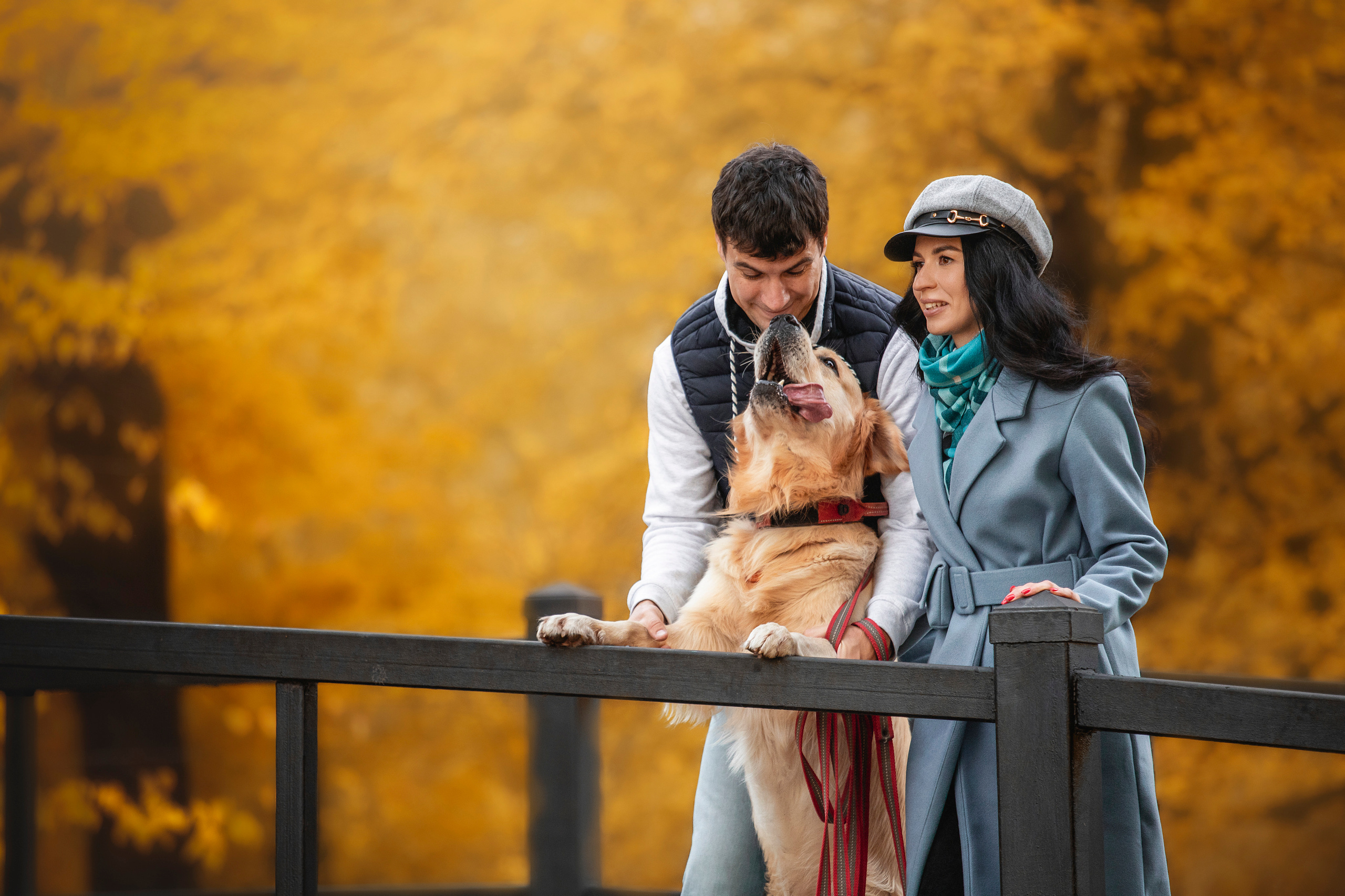 Лёвушка и его семья. Фотограф — Анималист | Санкт-Петербург