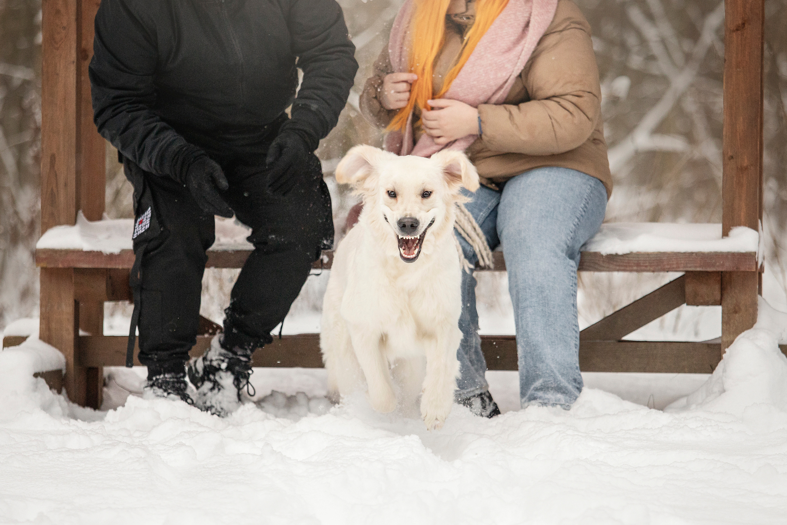 Милка и ее семья. Фотограф — Анималист | Санкт-Петербург