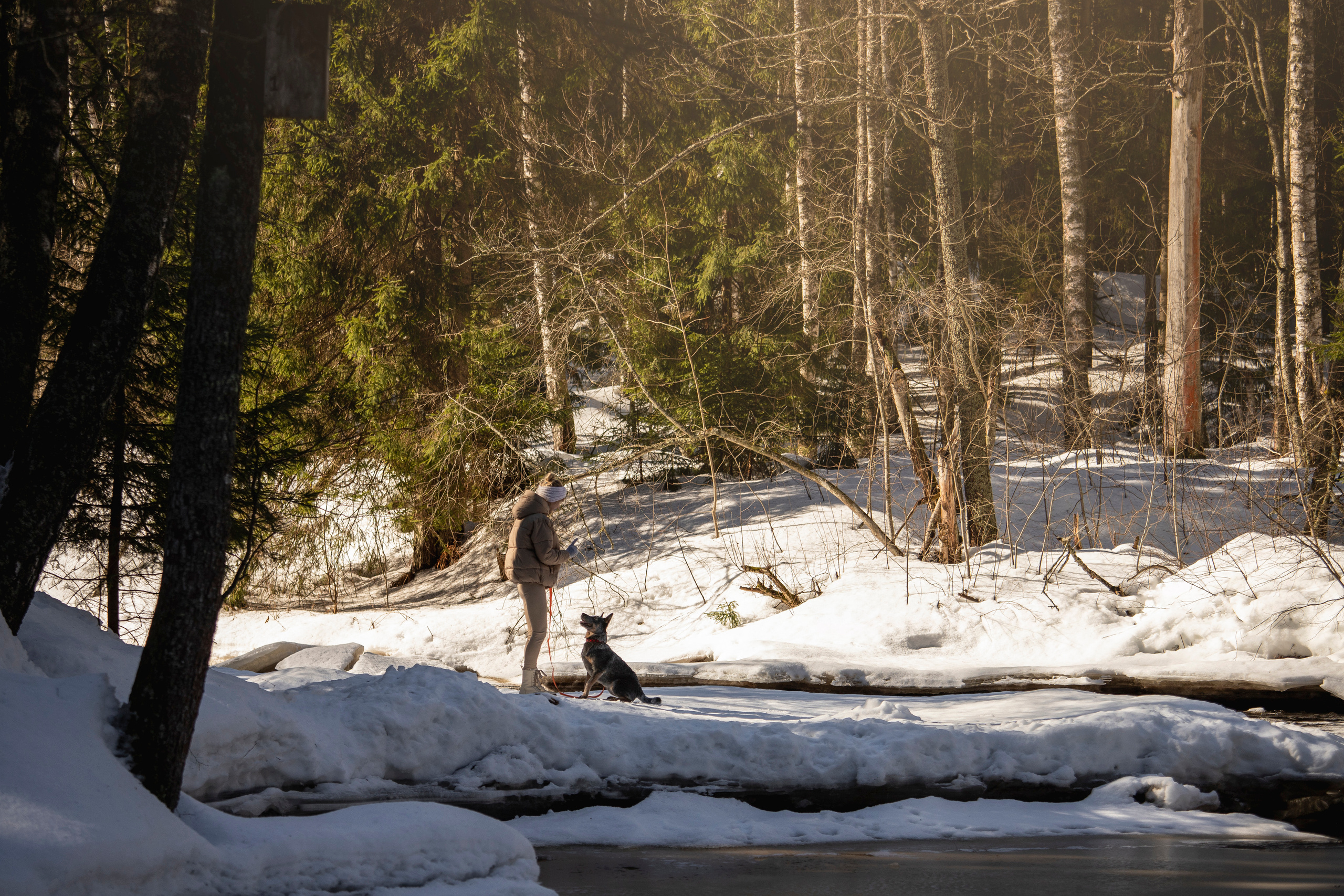 Оля и Мотя. Фотограф — Анималист | Санкт-Петербург