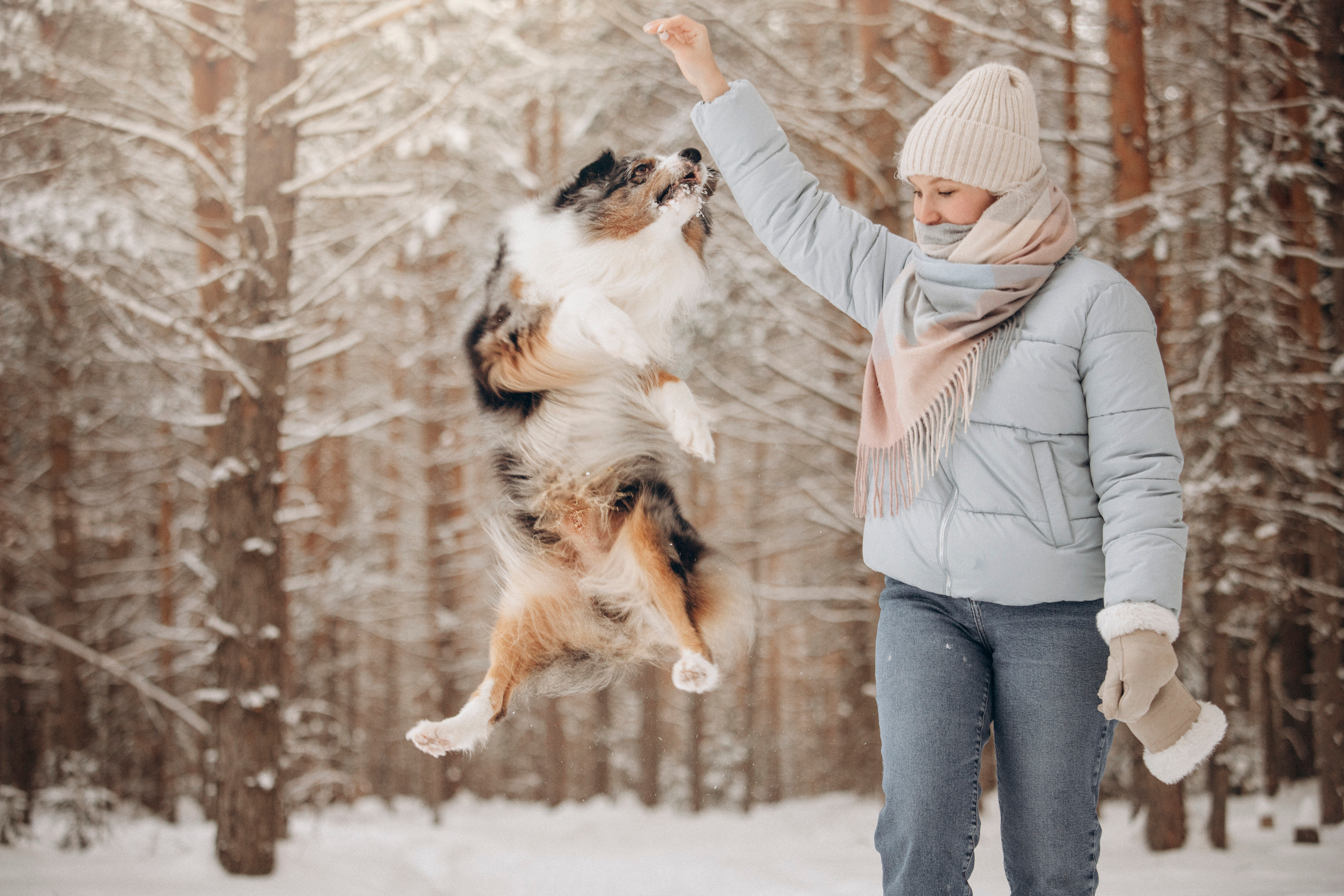 Айк и его семья. Фотограф — Анималист | Санкт-Петербург