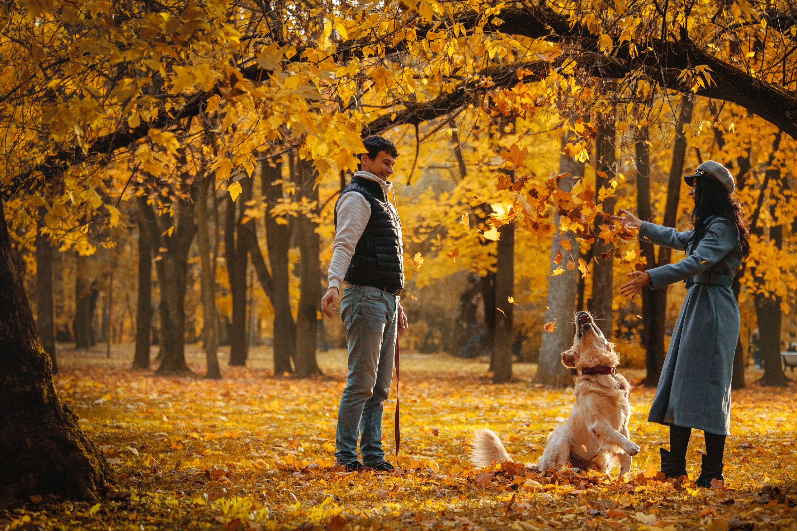 Лёвушка и его семья. Фотограф — Анималист | Санкт-Петербург