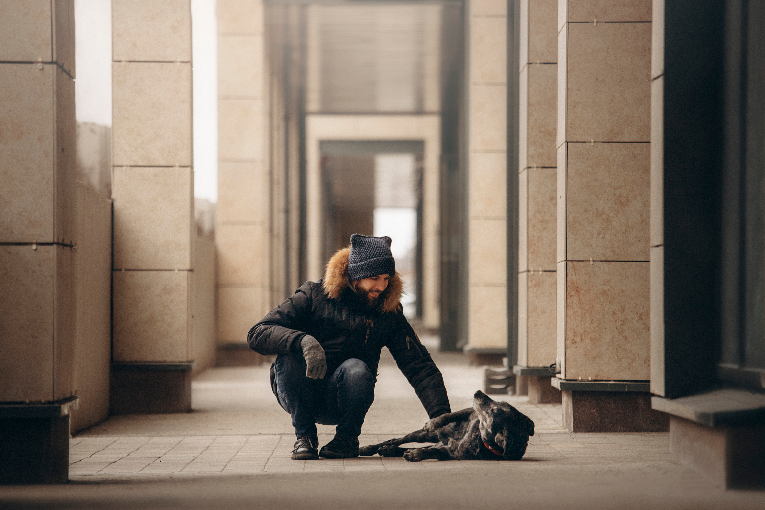 Ангус и его семья. Фотограф — Анималист | Санкт-Петербург