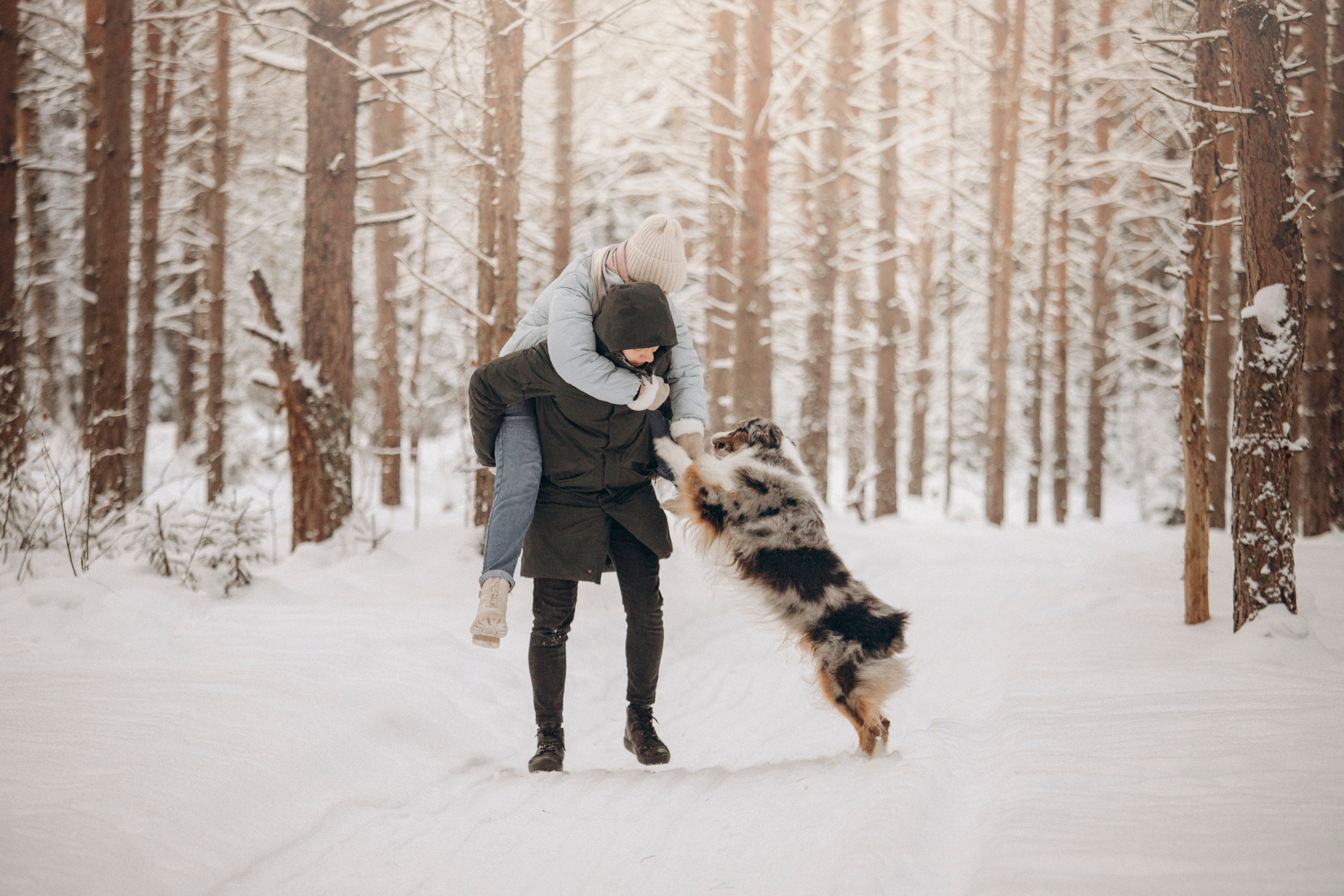 Айк и его семья. Фотограф — Анималист | Санкт-Петербург