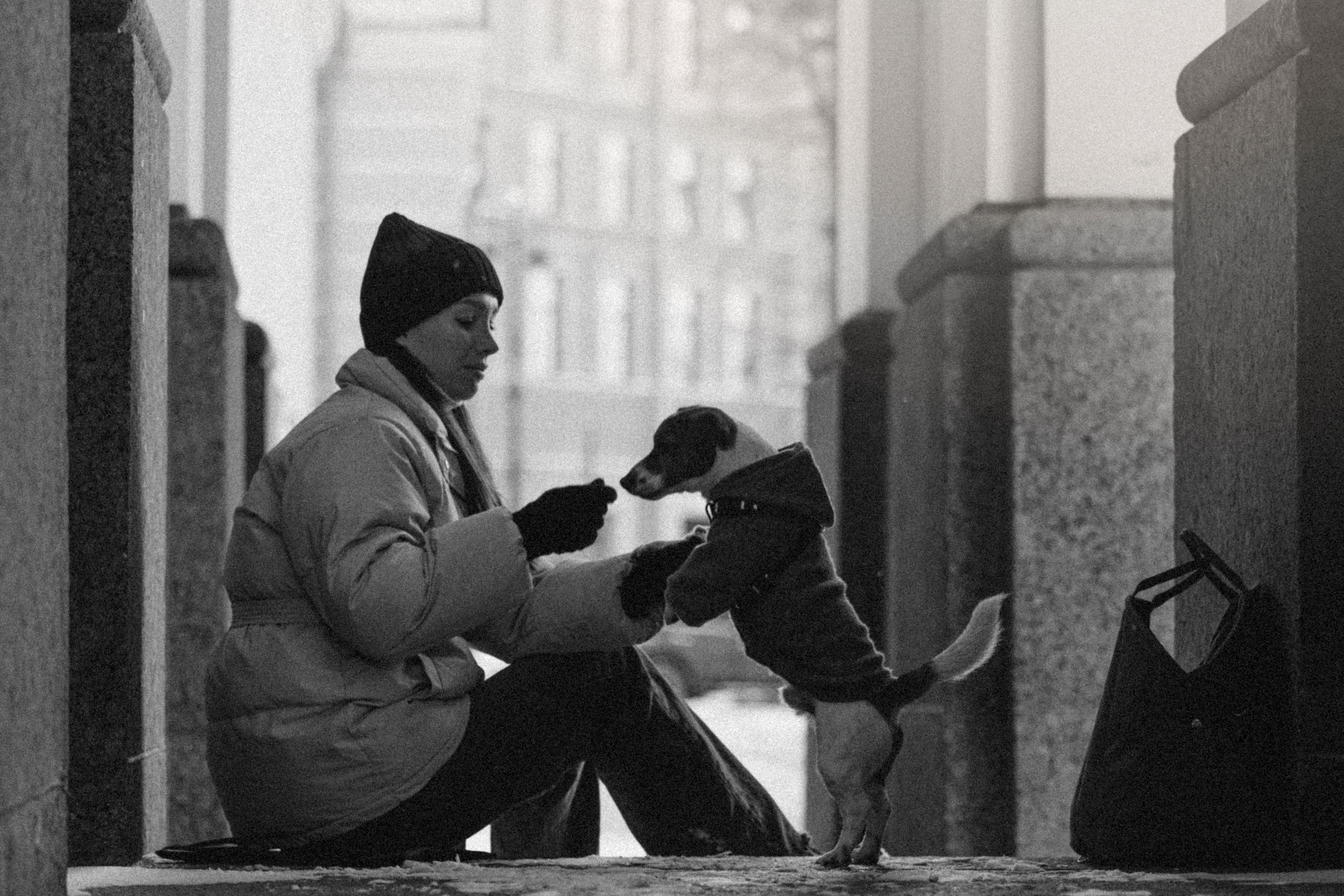 Даша и Бакс. Фотограф — Анималист | Санкт-Петербург