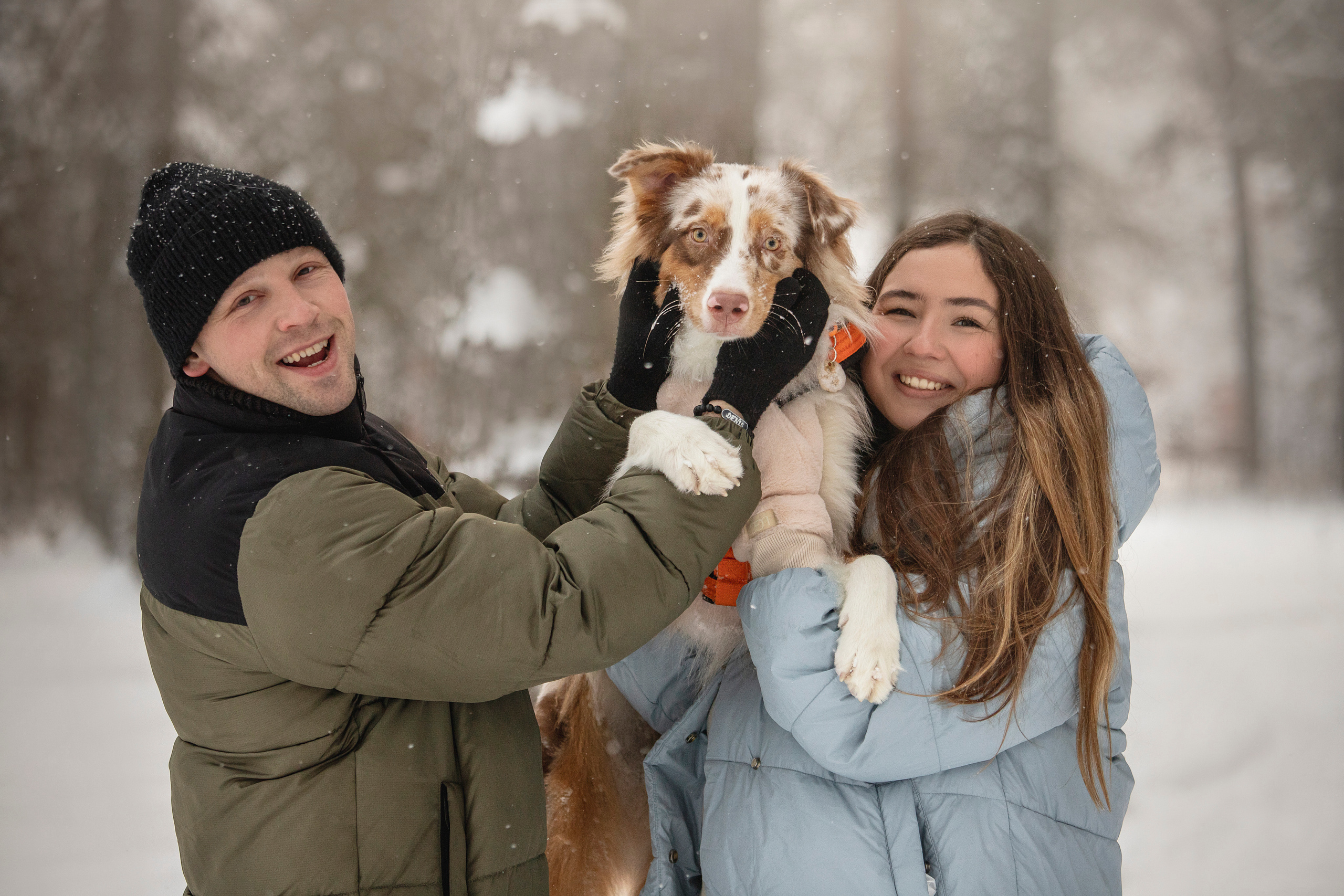 Делик, Скай и их семья. Фотограф — Анималист | Санкт-Петербург