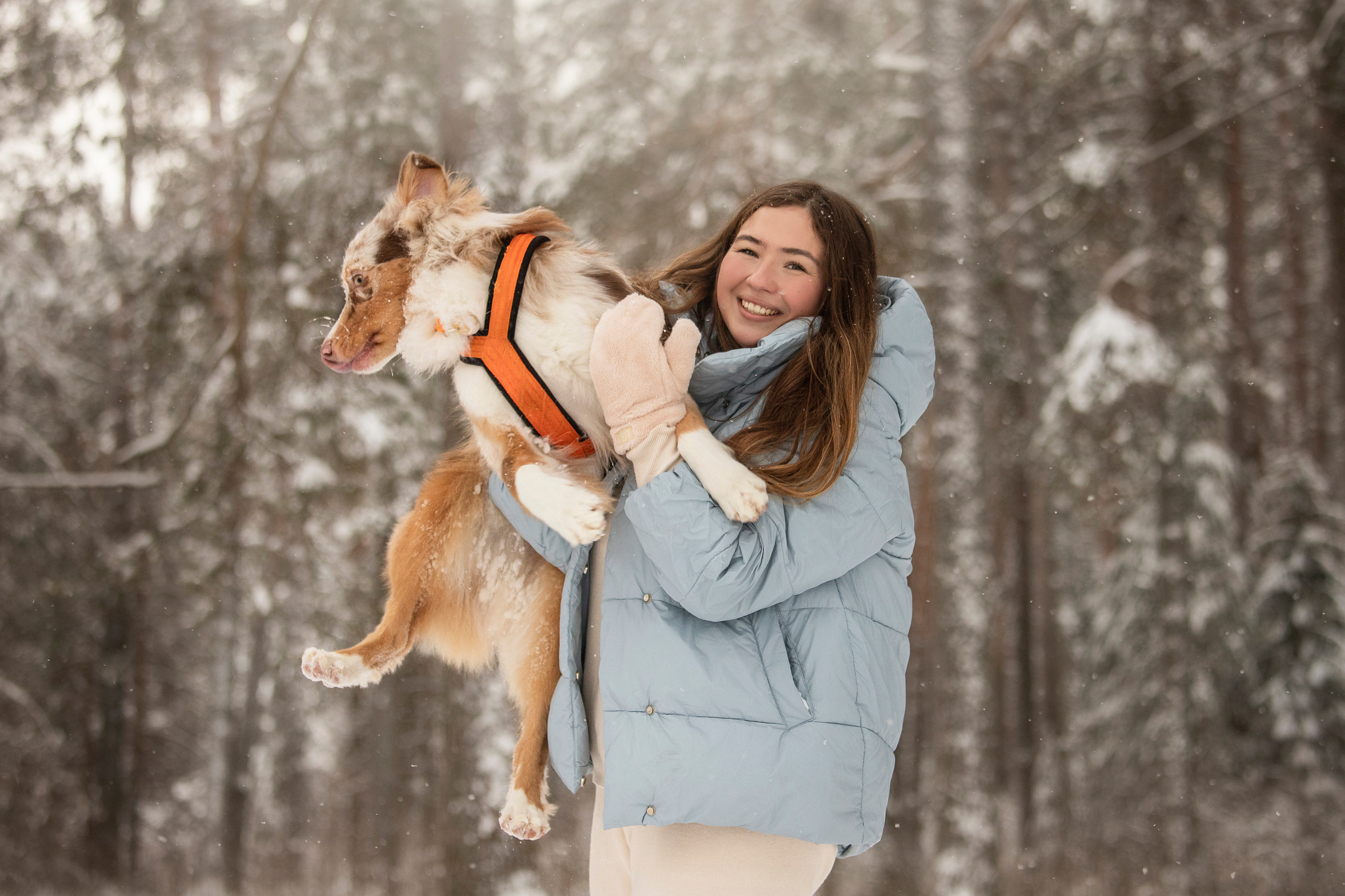 Делик, Скай и их семья. Фотограф — Анималист | Санкт-Петербург