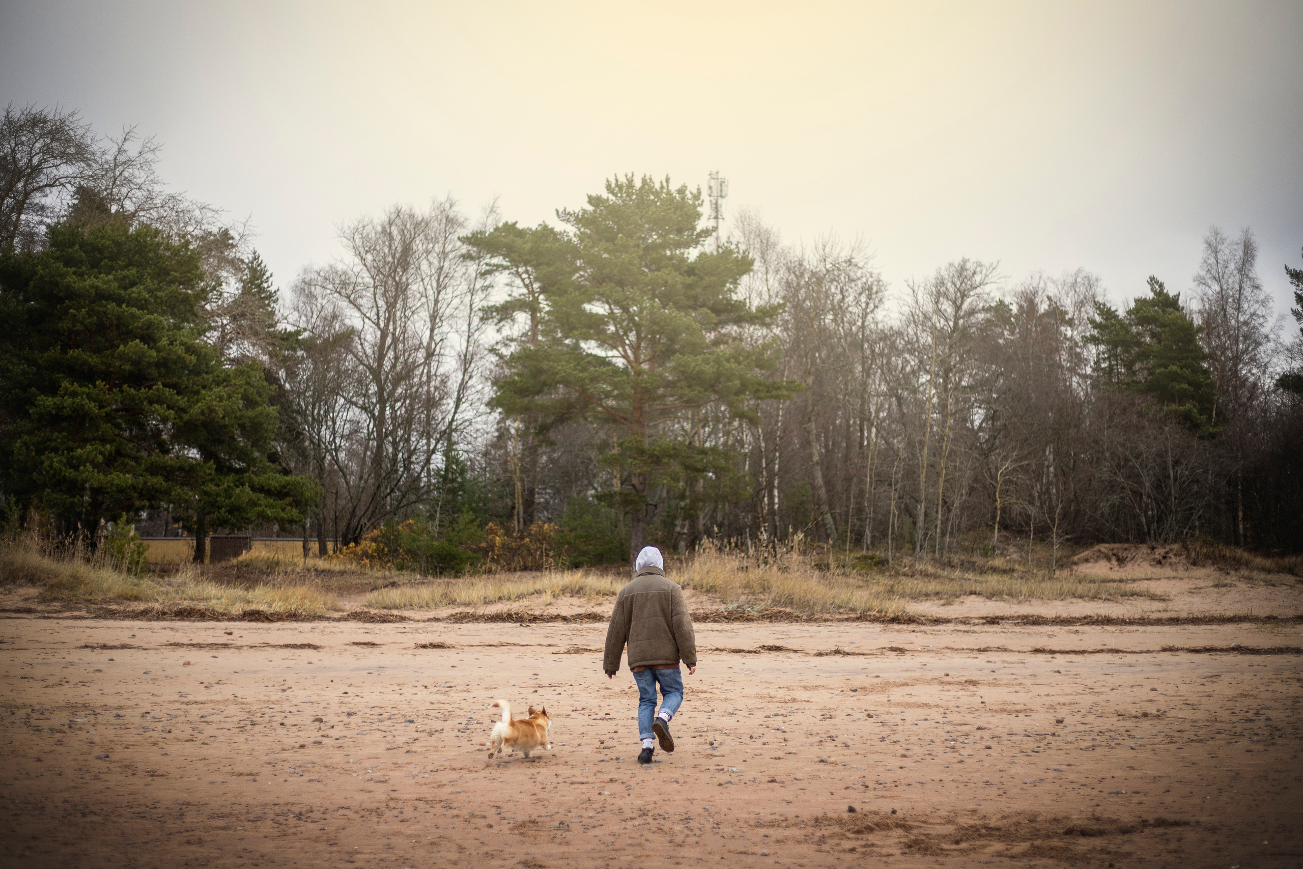 Барни и его семья. Фотограф — Анималист | Санкт-Петербург
