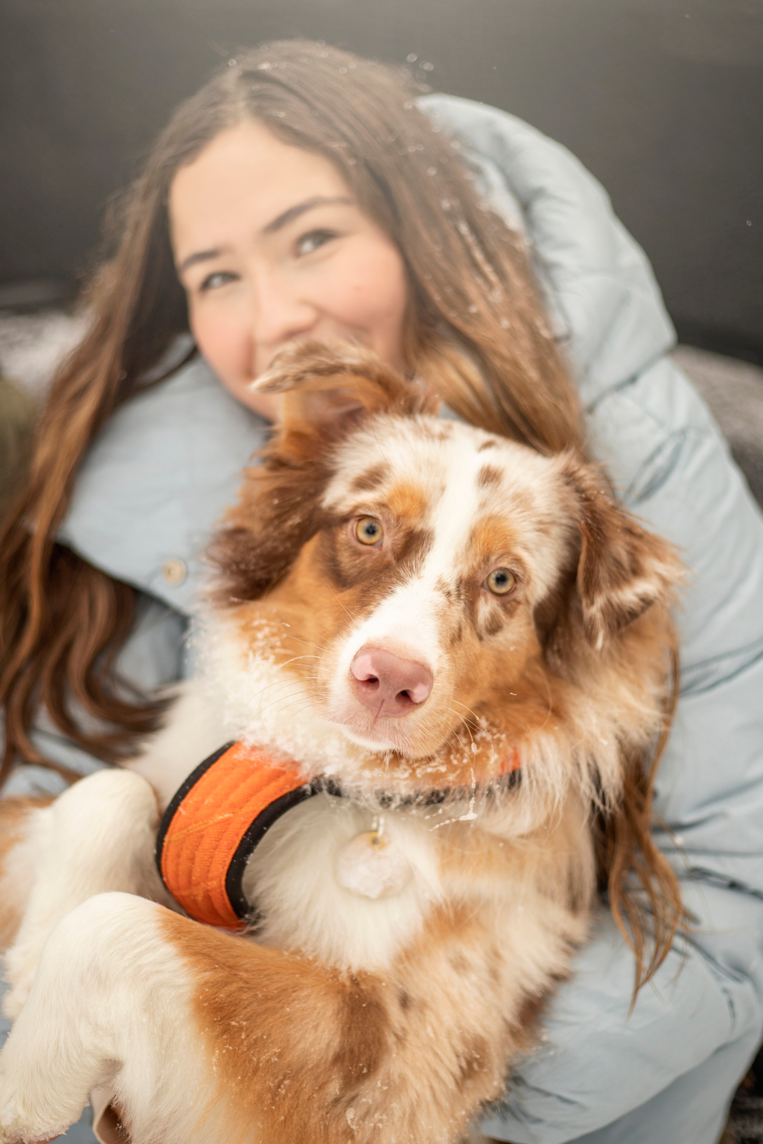 Делик, Скай и их семья. Фотограф — Анималист | Санкт-Петербург