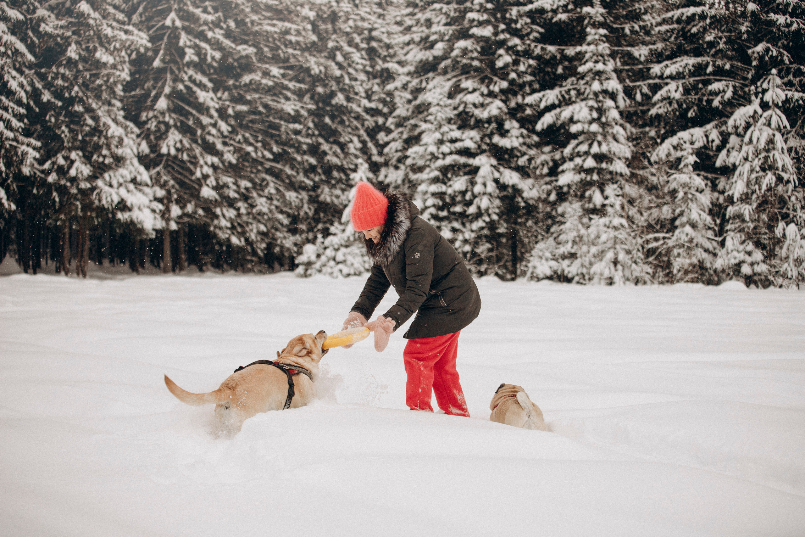 Марго, Степа и их семья. Фотограф — Анималист | Санкт-Петербург