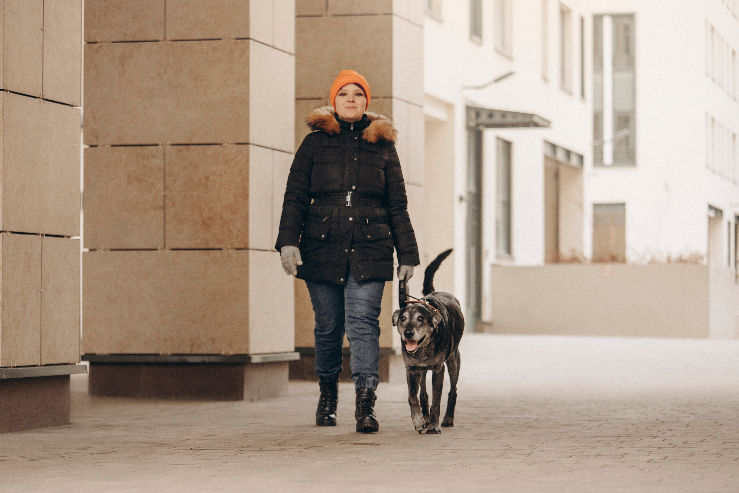 Ангус и его семья. Фотограф — Анималист | Санкт-Петербург