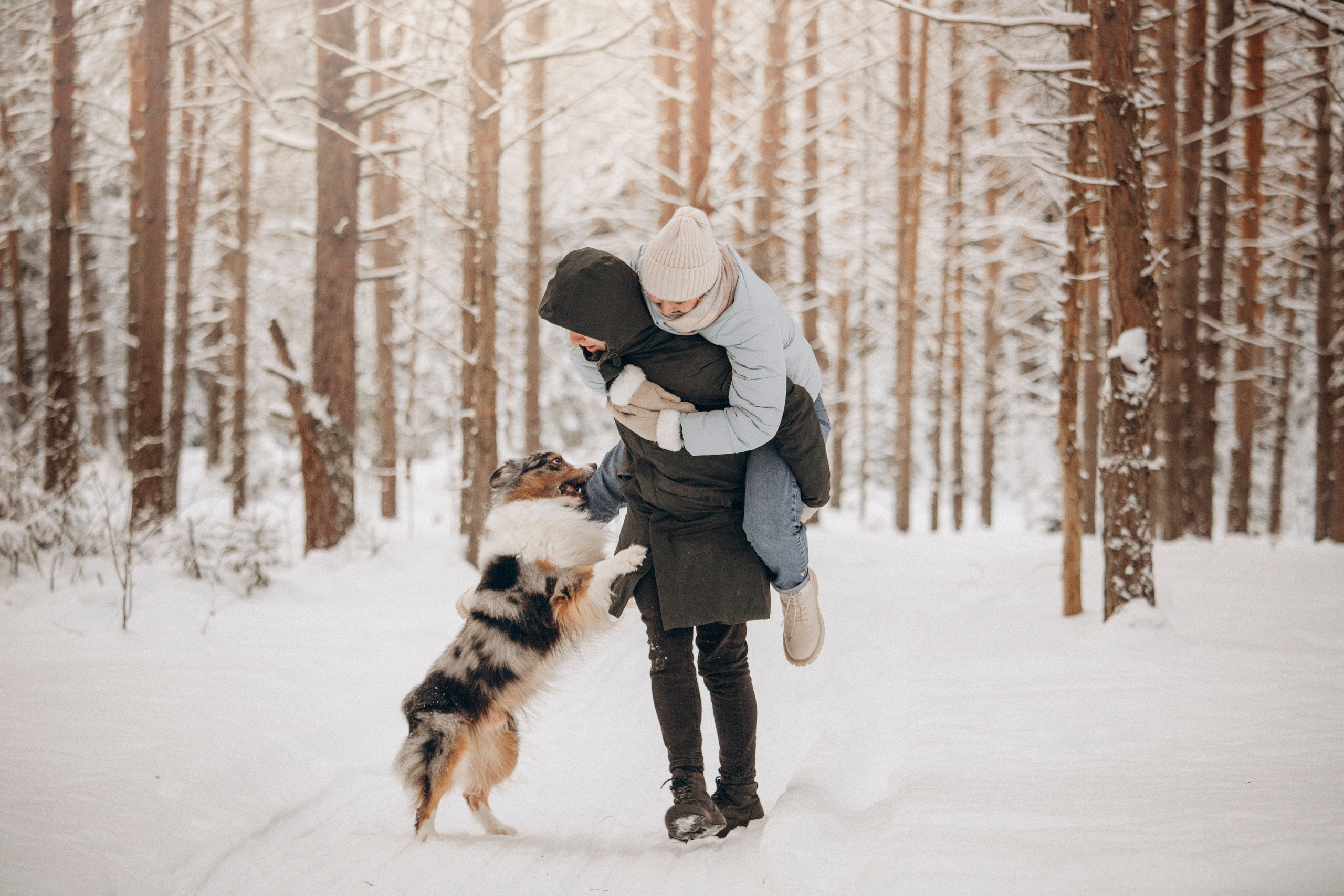 Айк и его семья. Фотограф — Анималист | Санкт-Петербург