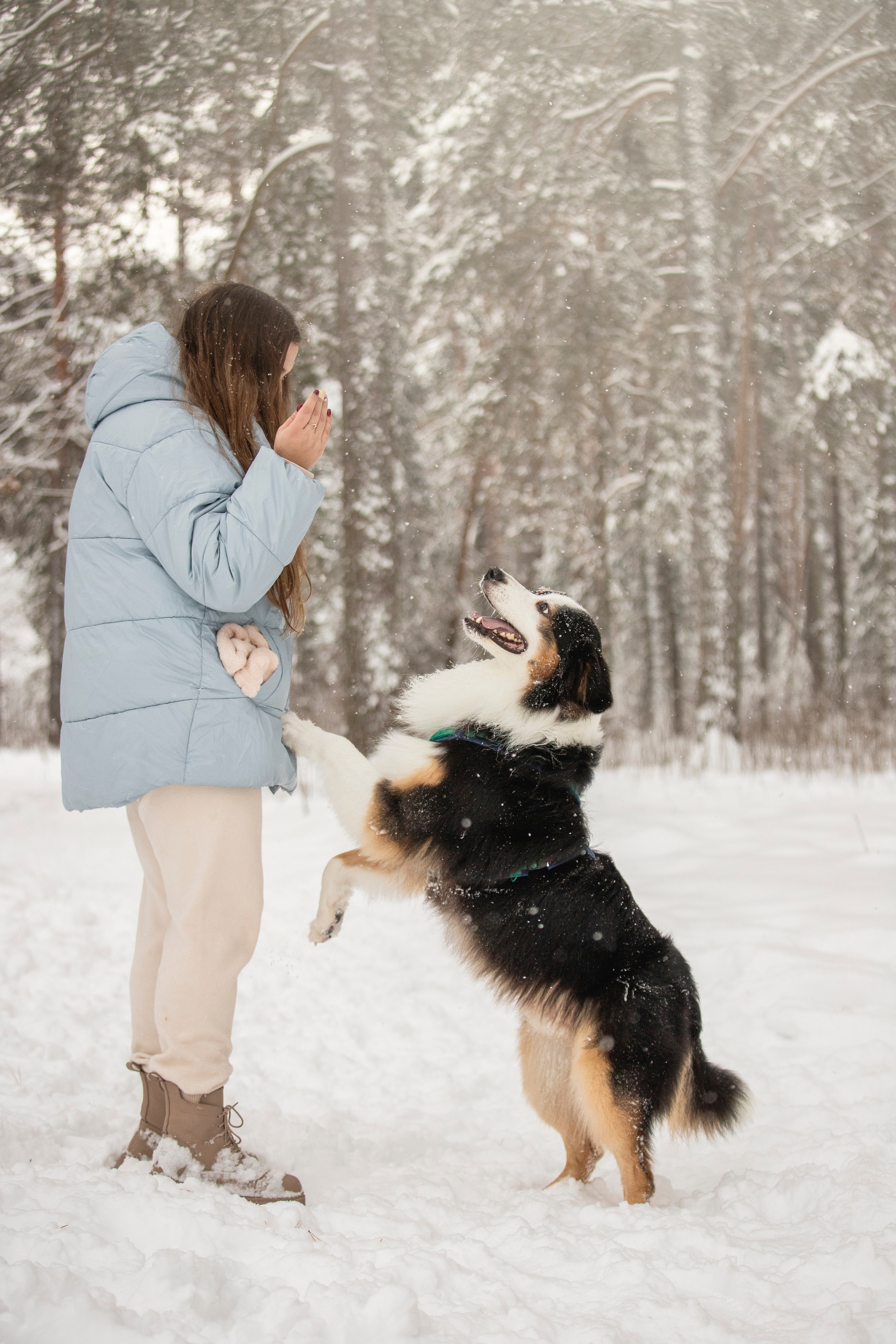 Делик, Скай и их семья. Фотограф — Анималист | Санкт-Петербург