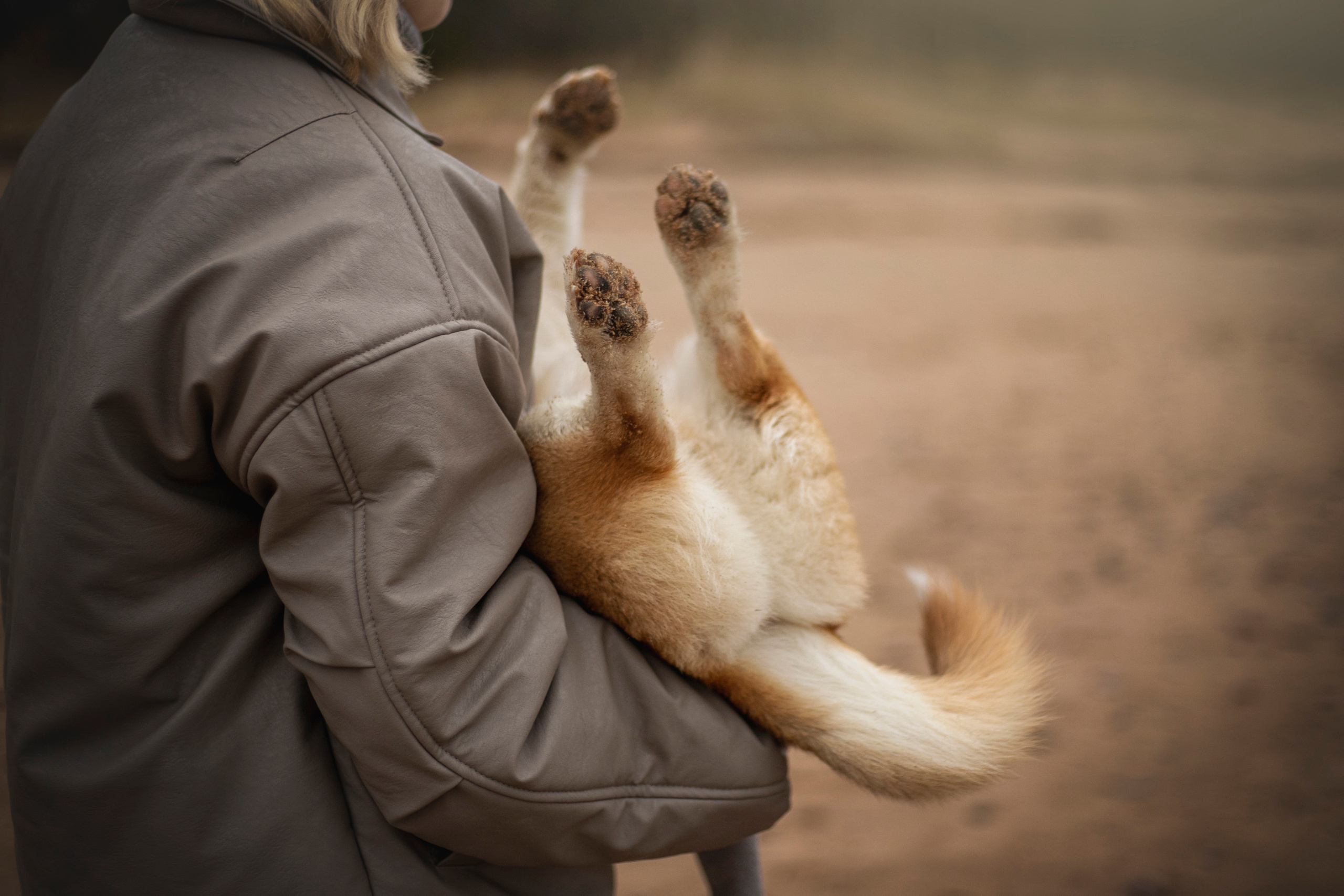Барни и его семья. Фотограф — Анималист | Санкт-Петербург