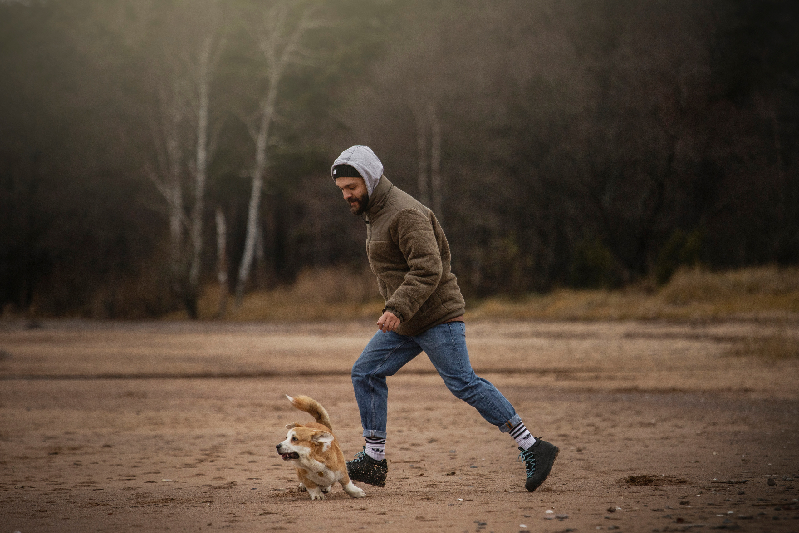 Барни и его семья. Фотограф — Анималист | Санкт-Петербург