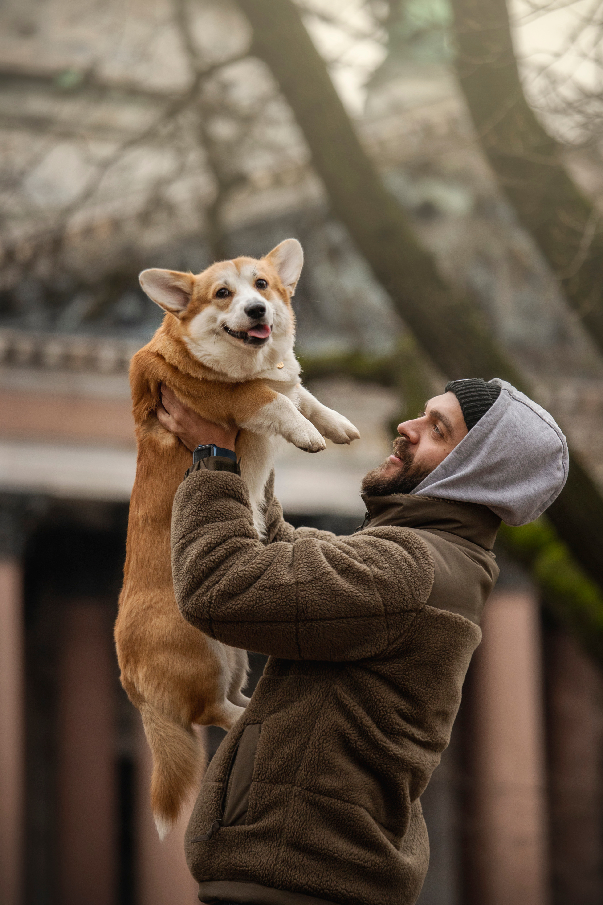 Барни и его семья. Фотограф — Анималист | Санкт-Петербург