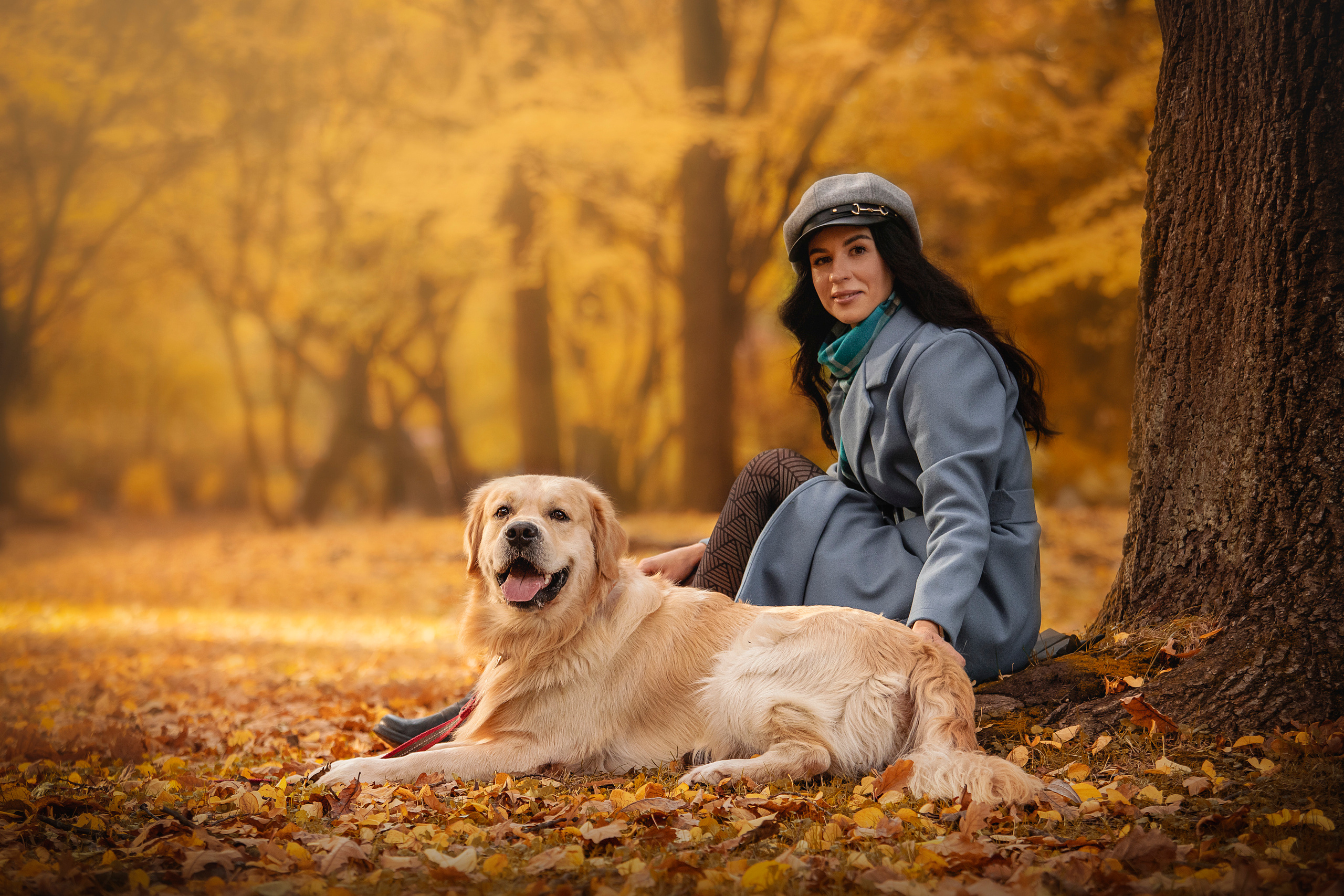 Лёвушка и его семья. Фотограф — Анималист | Санкт-Петербург
