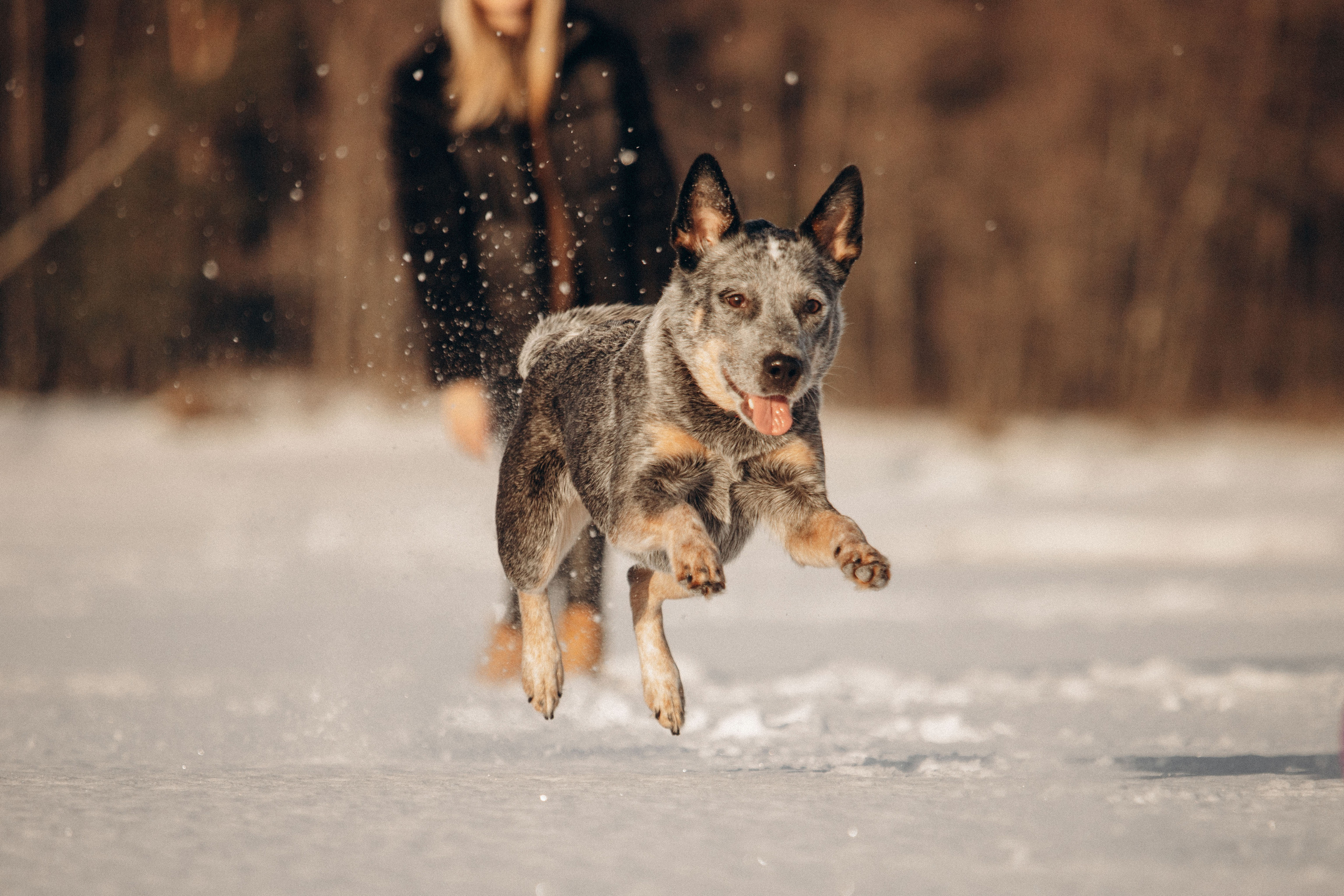 Оля и Мотя. Фотограф — Анималист | Санкт-Петербург