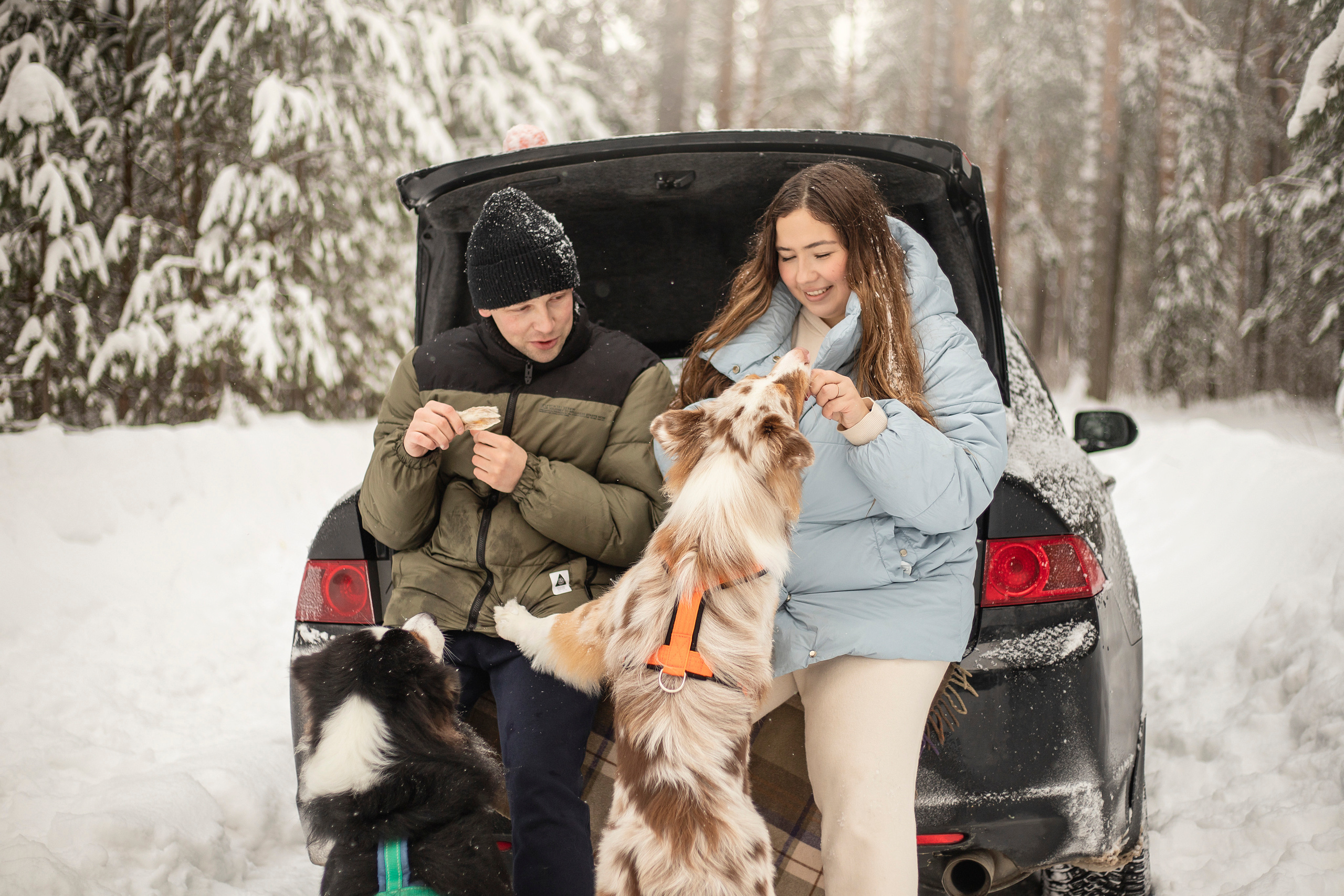 Делик, Скай и их семья. Фотограф — Анималист | Санкт-Петербург