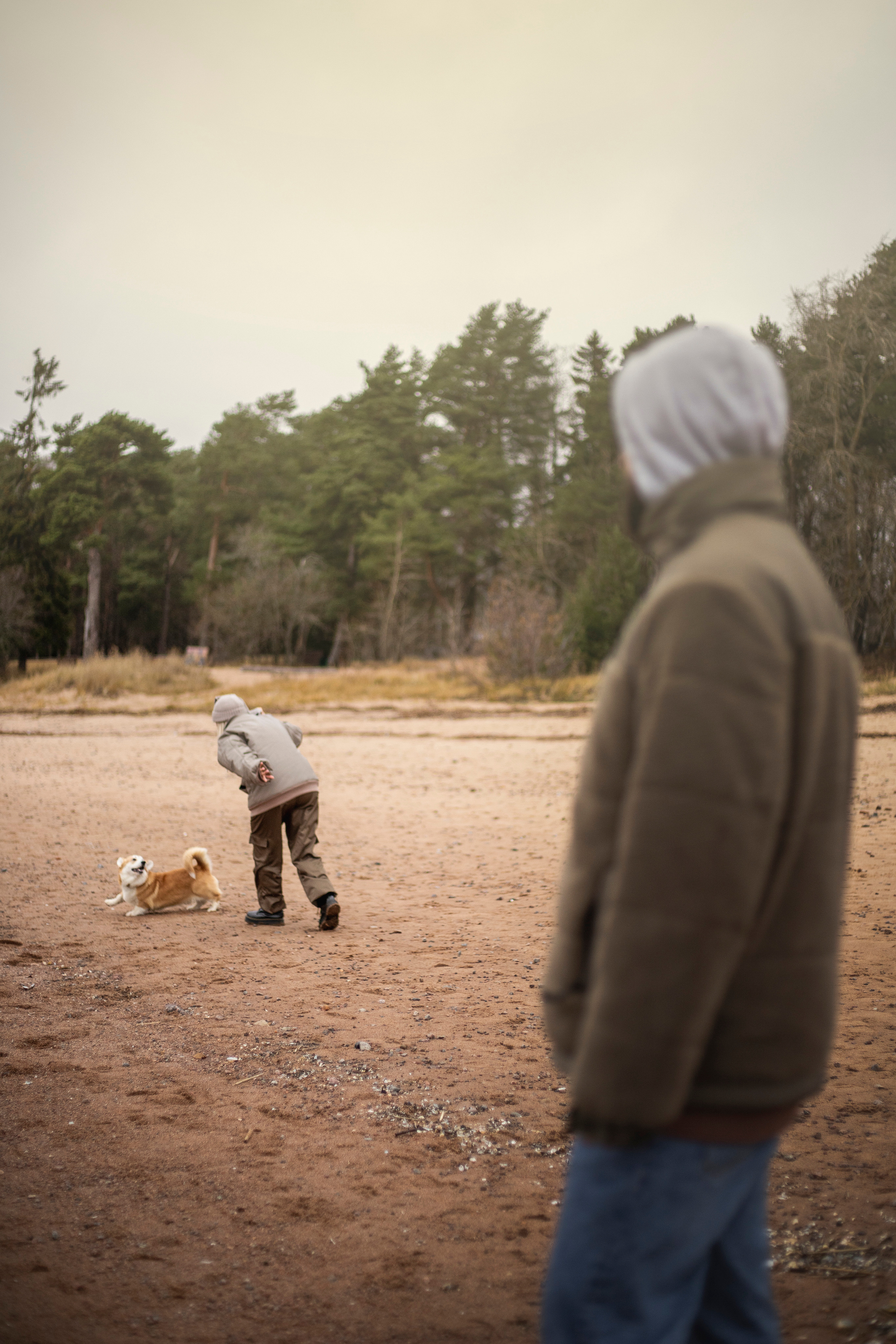 Барни и его семья. Фотограф — Анималист | Санкт-Петербург